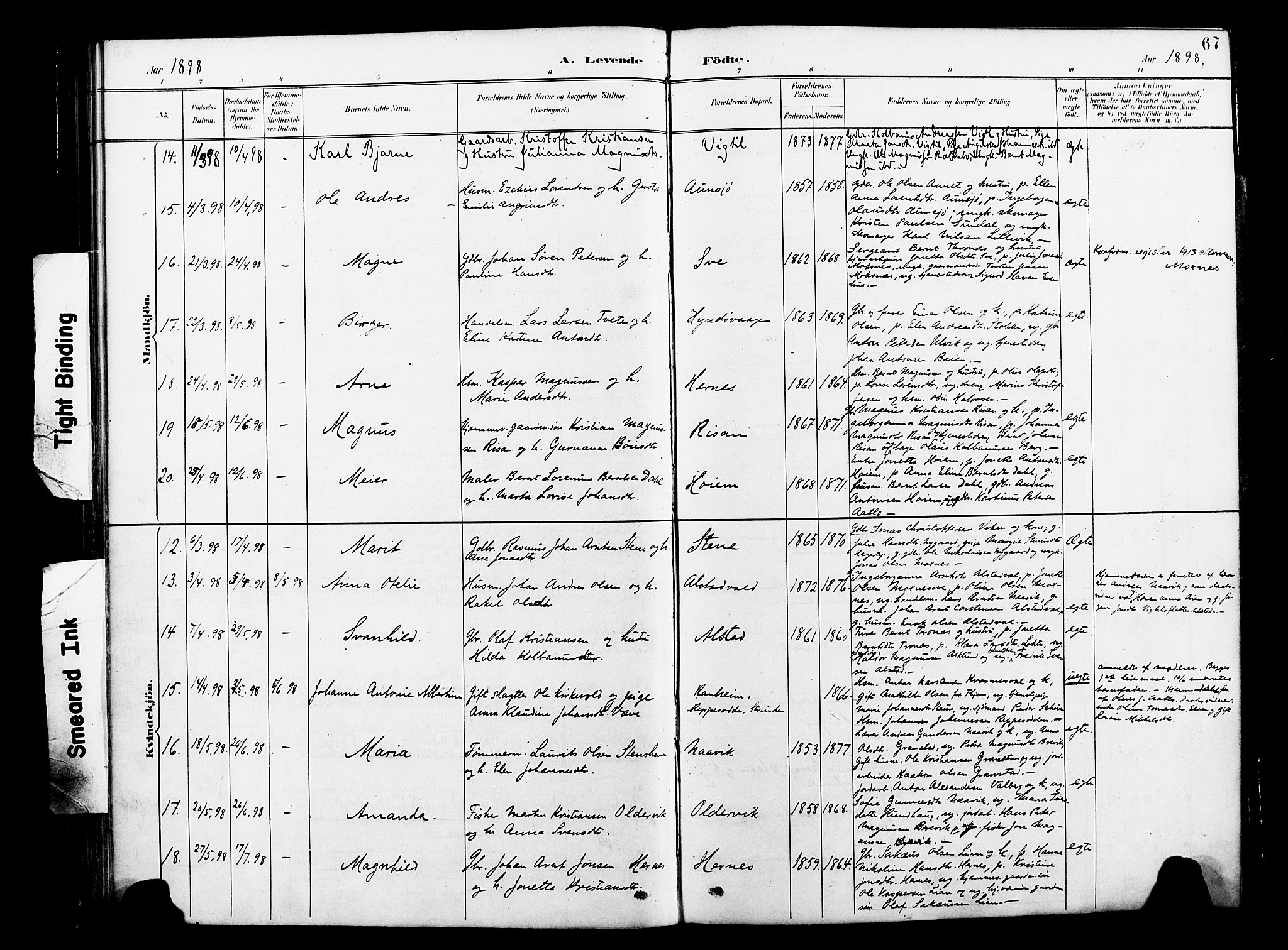 Ministerialprotokoller, klokkerbøker og fødselsregistre - Nord-Trøndelag, AV/SAT-A-1458/713/L0121: Parish register (official) no. 713A10, 1888-1898, p. 67