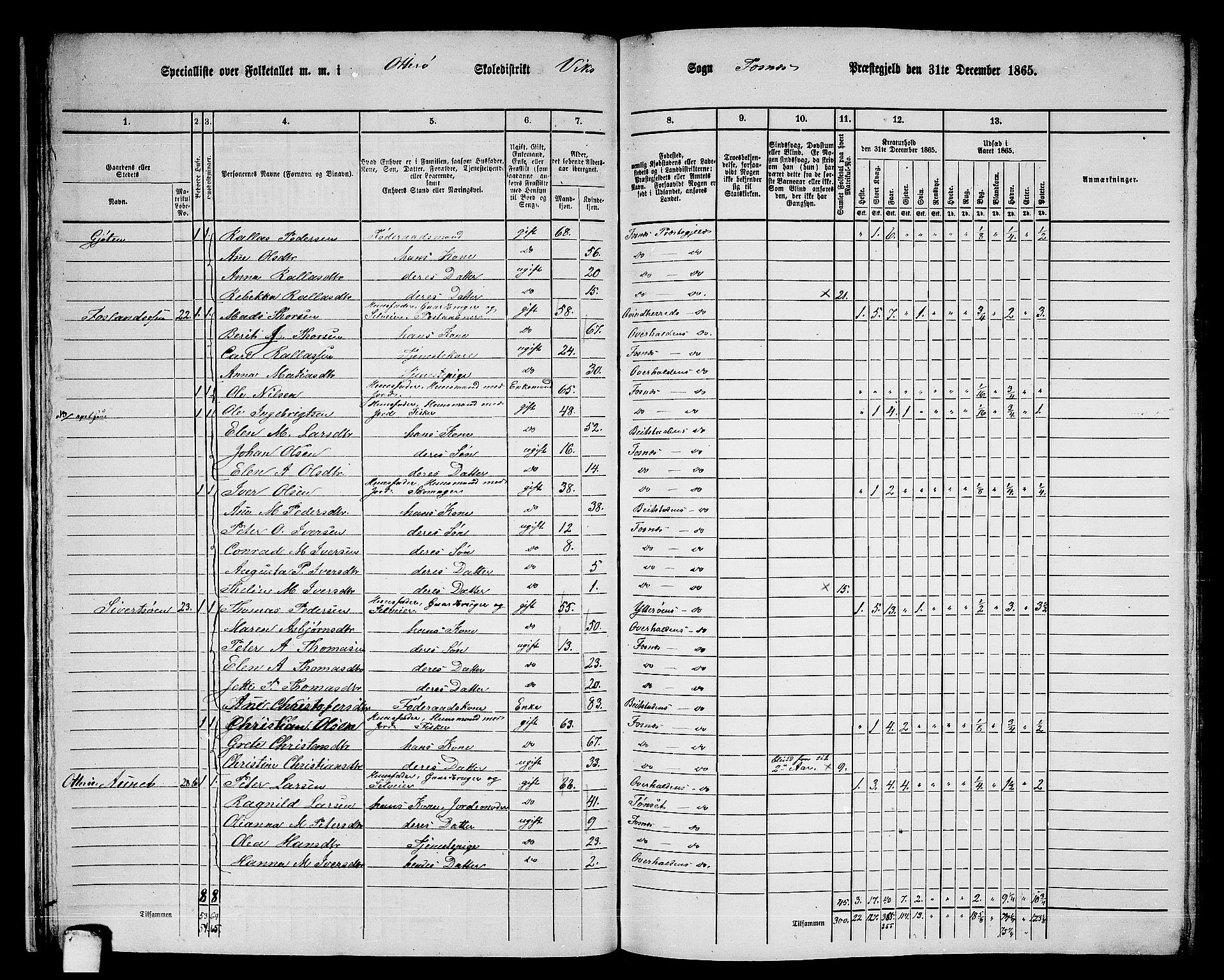 RA, 1865 census for Fosnes, 1865, p. 25