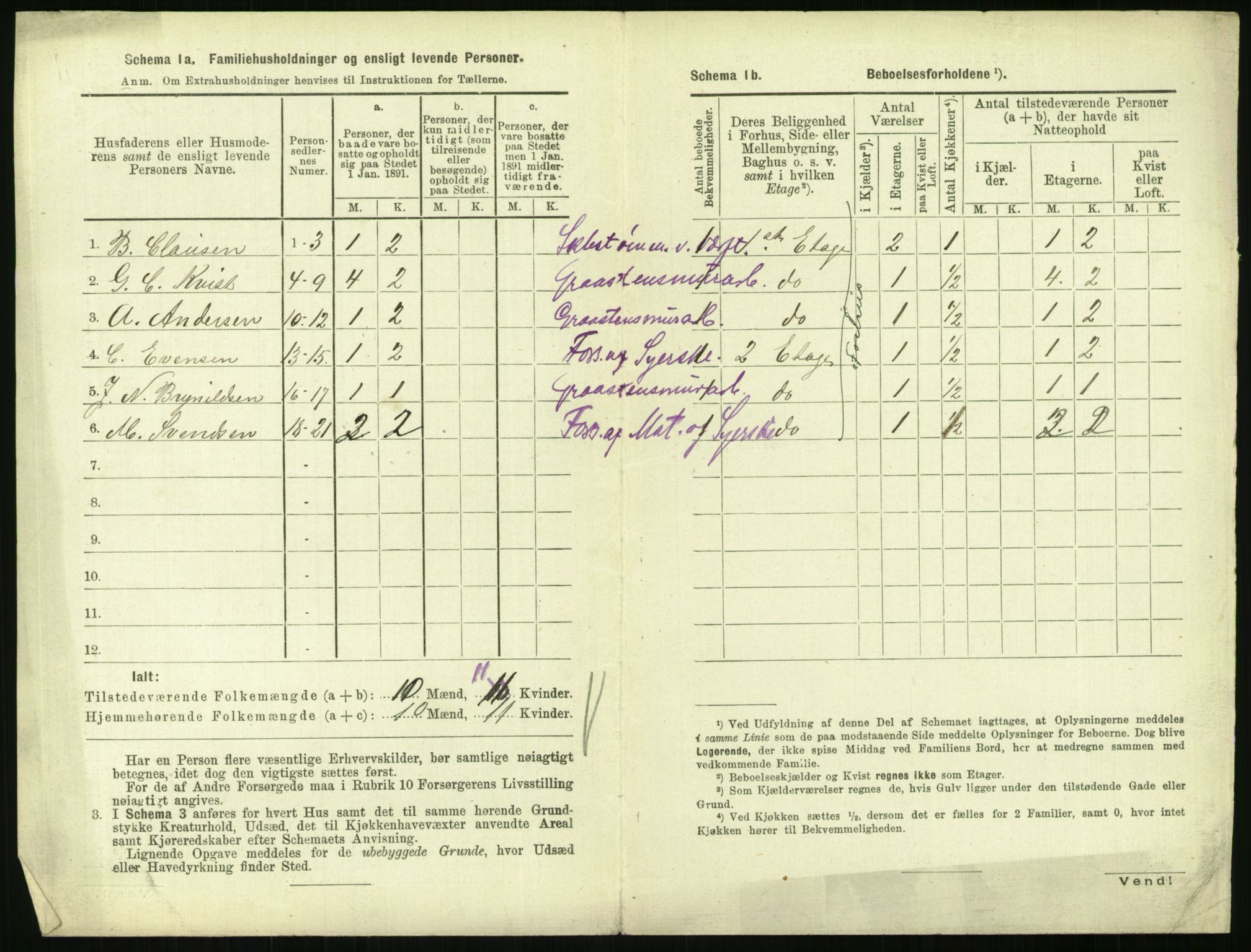 RA, 1891 census for 0707 Larvik, 1891, p. 224