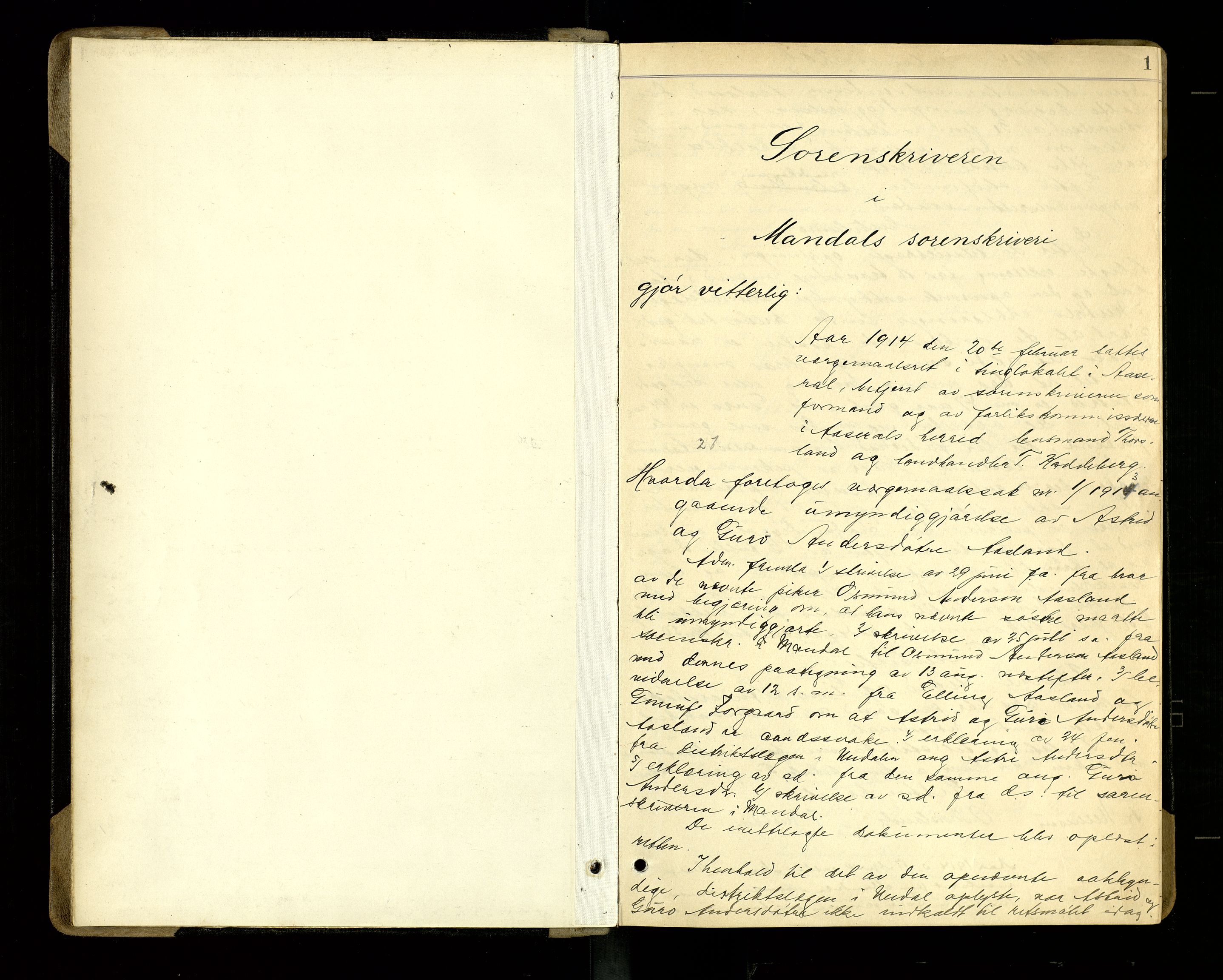 Mandal sorenskriveri, SAK/1221-0005/001/F/Fb/L0033: Ekstrarettsprotokoll nr 31, 1914-1917, p. 1