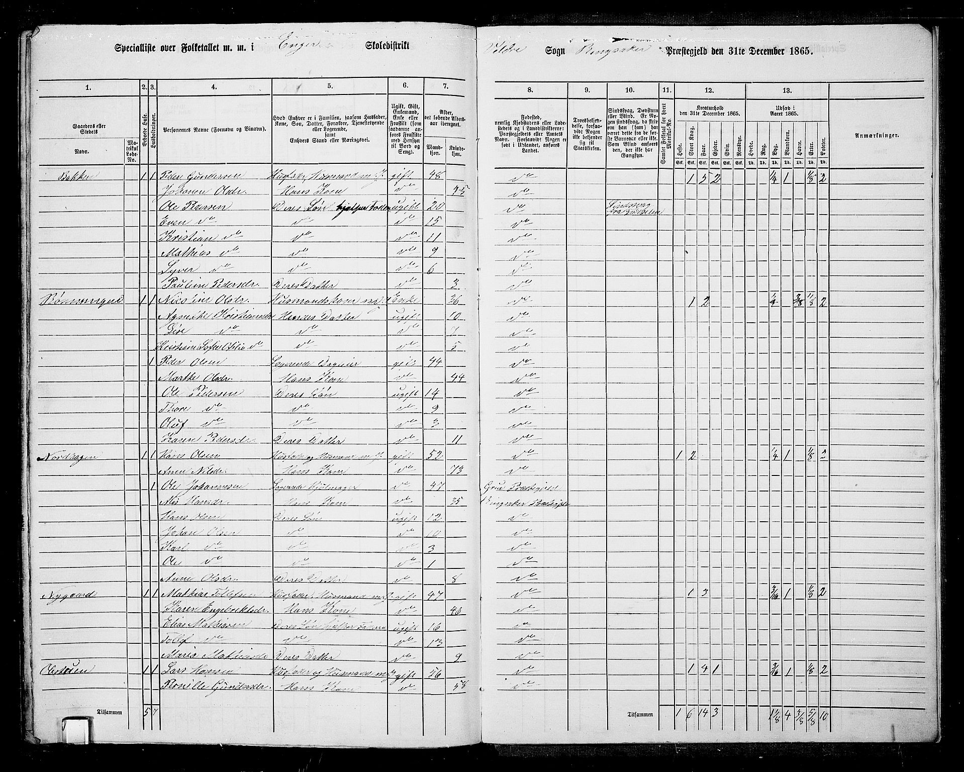 RA, 1865 census for Ringsaker, 1865, p. 258