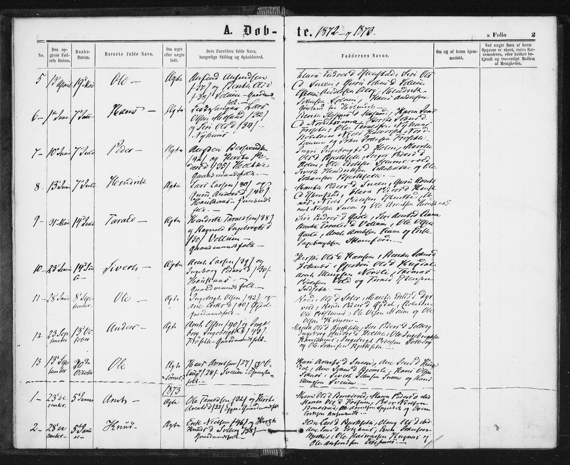 Ministerialprotokoller, klokkerbøker og fødselsregistre - Sør-Trøndelag, SAT/A-1456/689/L1039: Parish register (official) no. 689A04, 1865-1878, p. 2