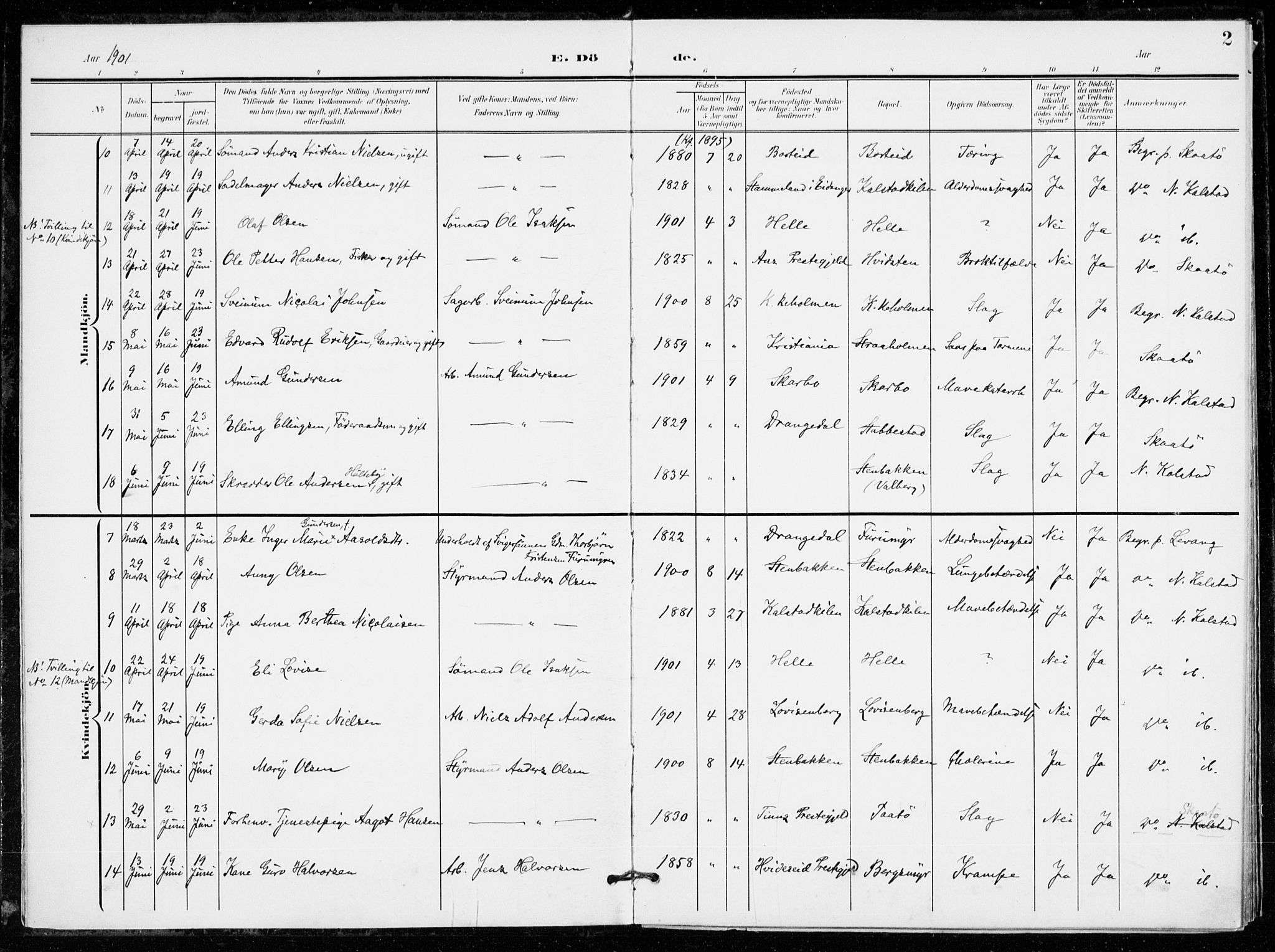 Skåtøy kirkebøker, AV/SAKO-A-304/F/Fa/L0005: Parish register (official) no. I 5, 1901-1923, p. 2