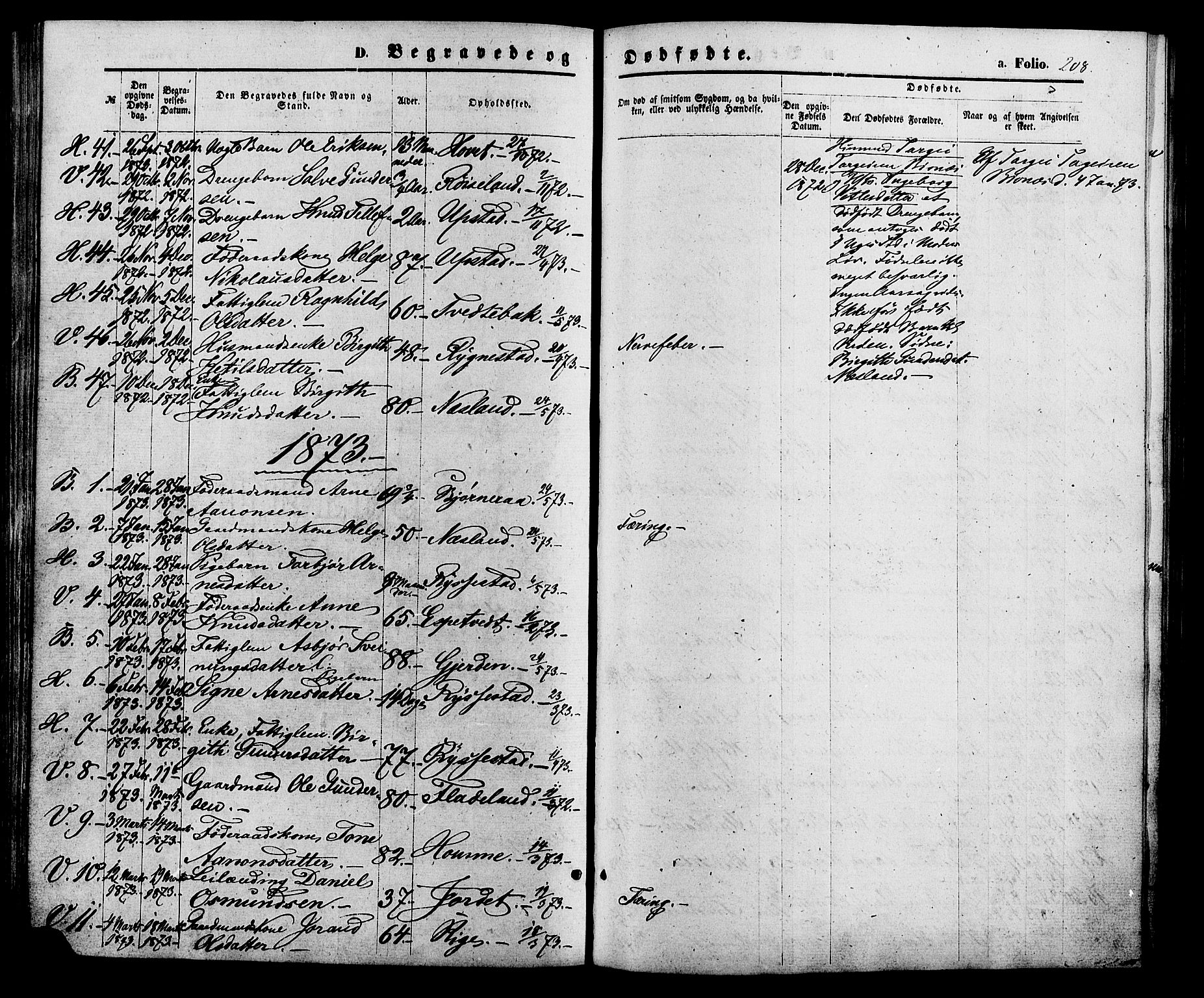 Valle sokneprestkontor, AV/SAK-1111-0044/F/Fa/Fac/L0008: Parish register (official) no. A 8, 1868-1882, p. 208