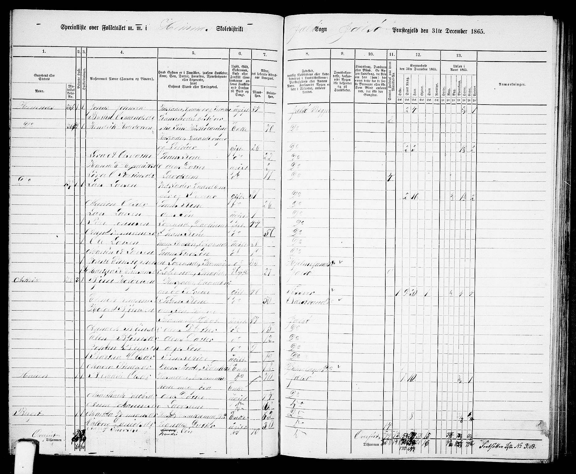 RA, 1865 census for Jelsa, 1865, p. 54