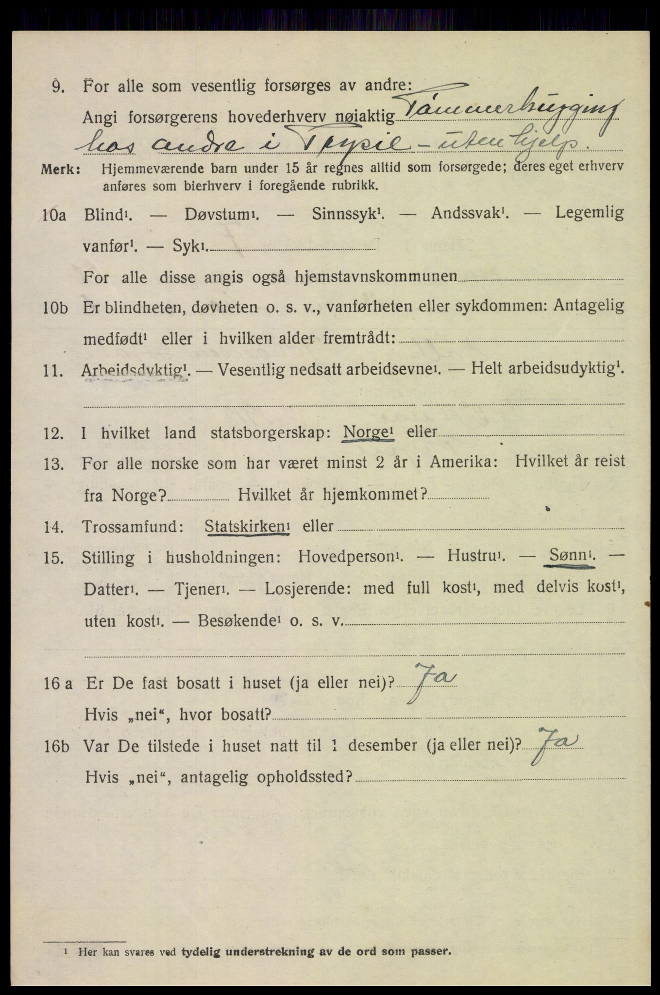 SAH, 1920 census for Trysil, 1920, p. 16156