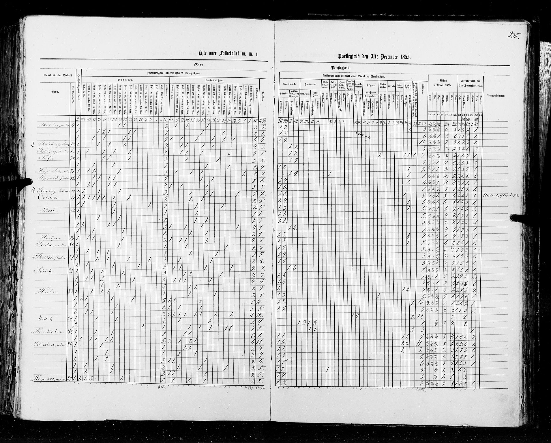 RA, Census 1855, vol. 2: Kristians amt, Buskerud amt og Jarlsberg og Larvik amt, 1855, p. 335