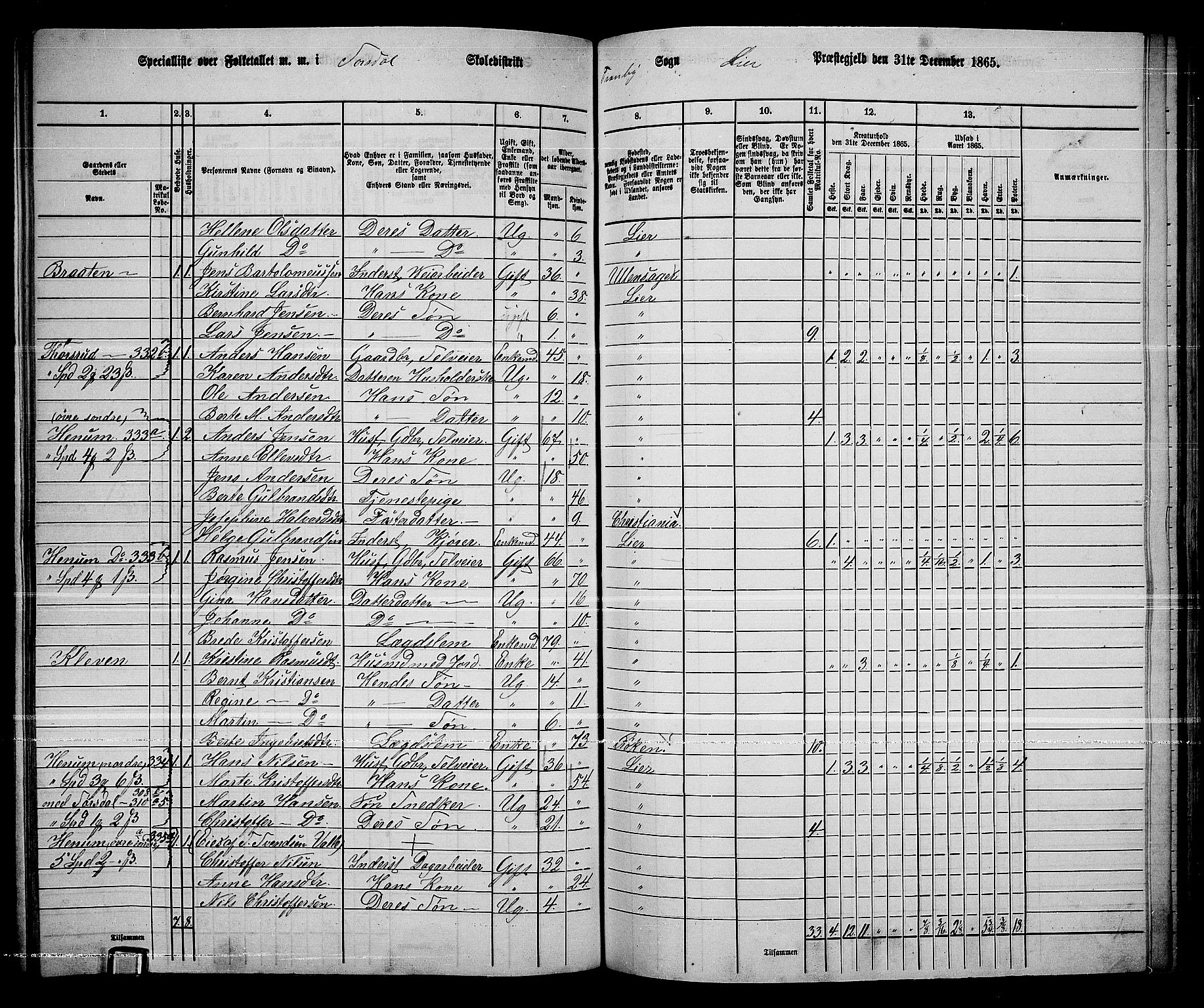 RA, 1865 census for Lier, 1865, p. 178