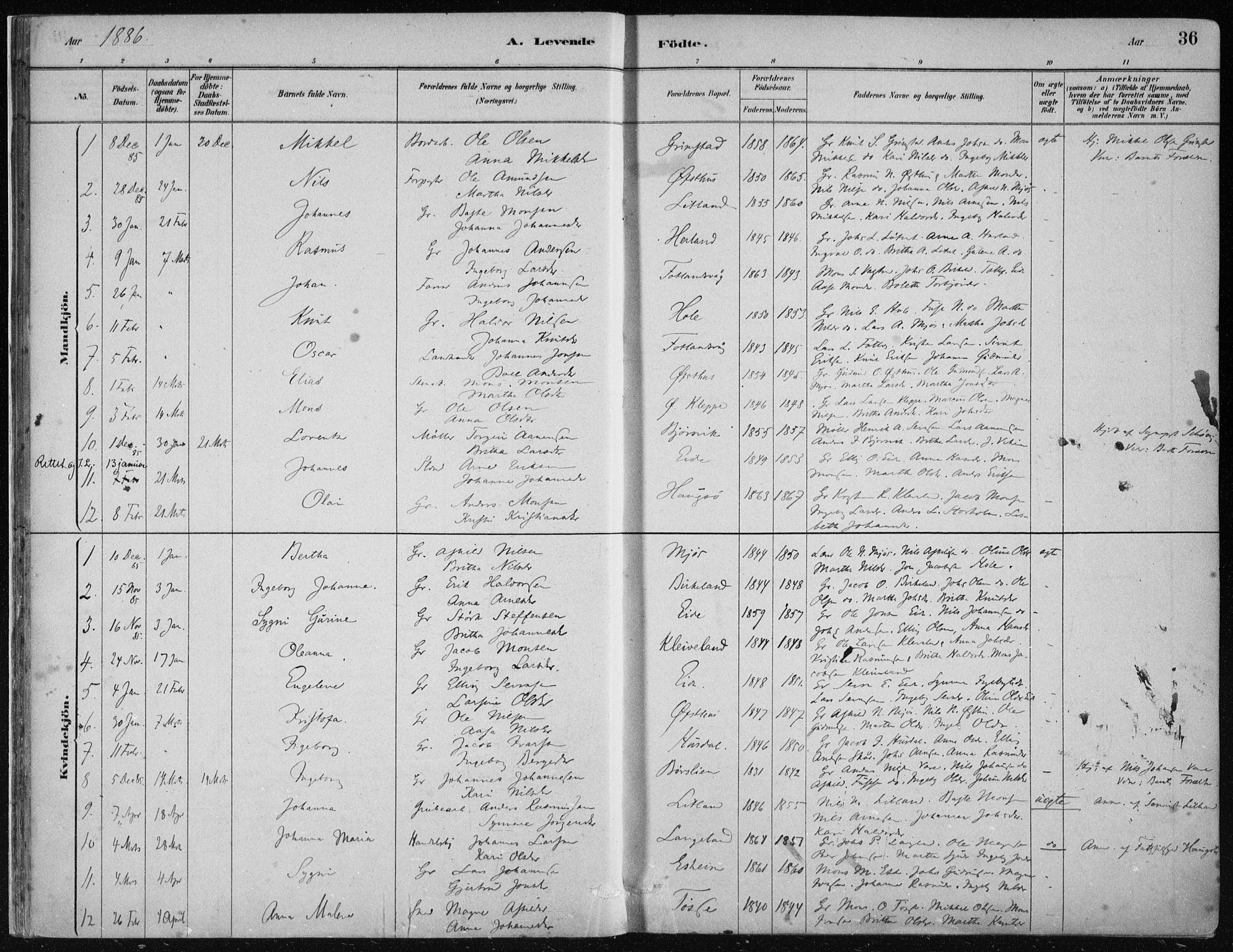 Hosanger sokneprestembete, AV/SAB-A-75801/H/Haa: Parish register (official) no. B  1, 1880-1896, p. 36