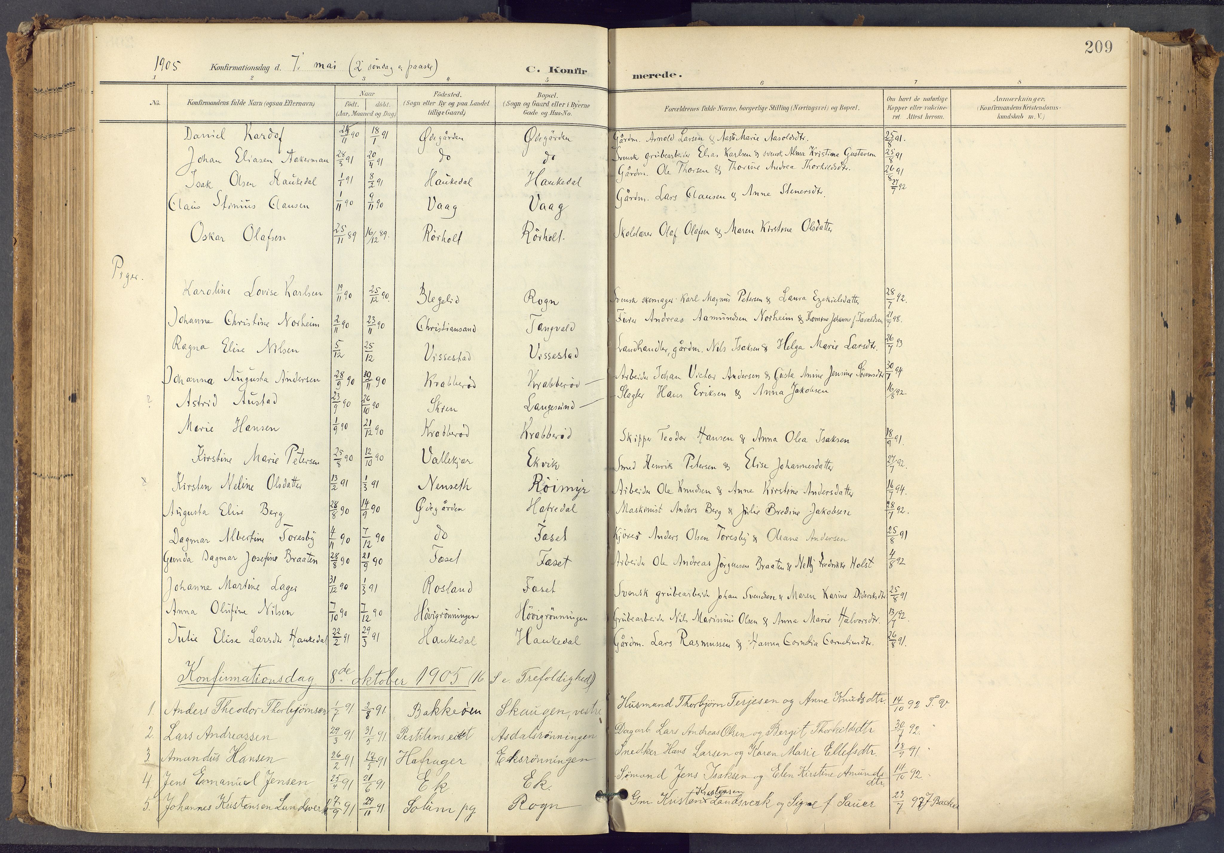 Bamble kirkebøker, SAKO/A-253/F/Fa/L0009: Parish register (official) no. I 9, 1901-1917, p. 209