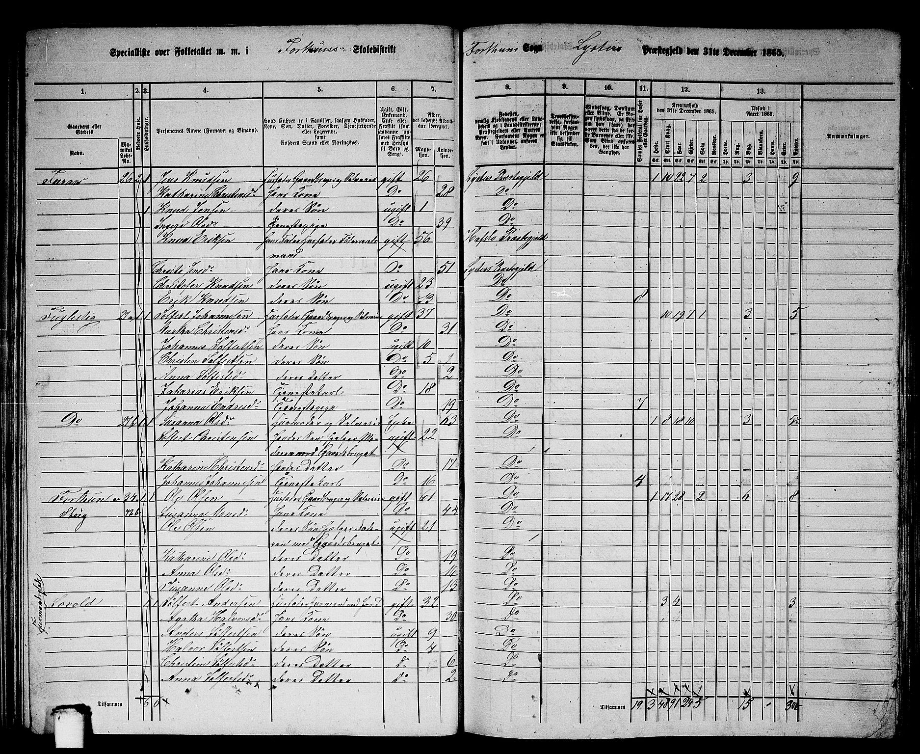 RA, 1865 census for Luster, 1865, p. 34