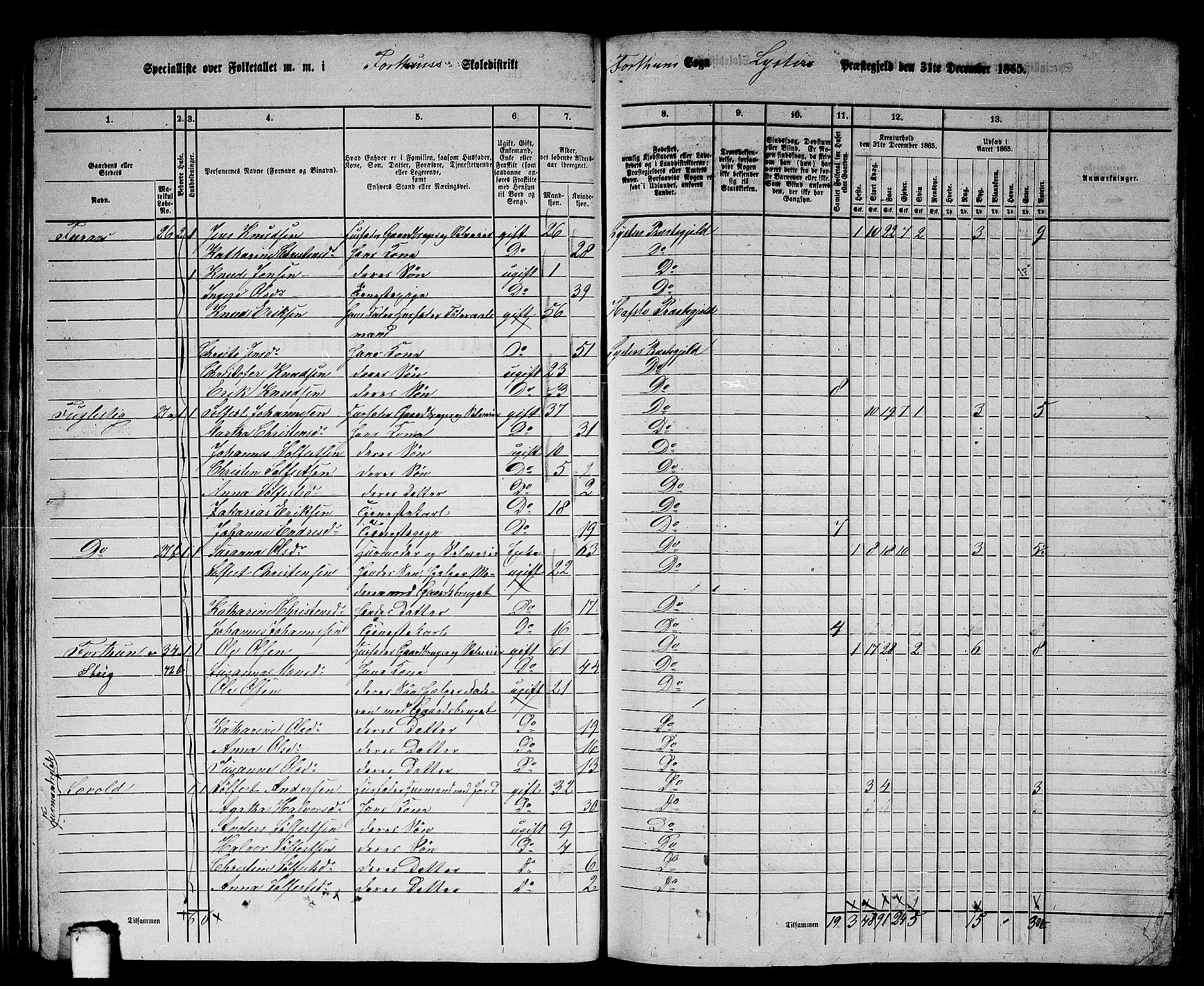 RA, 1865 census for Luster, 1865, p. 34