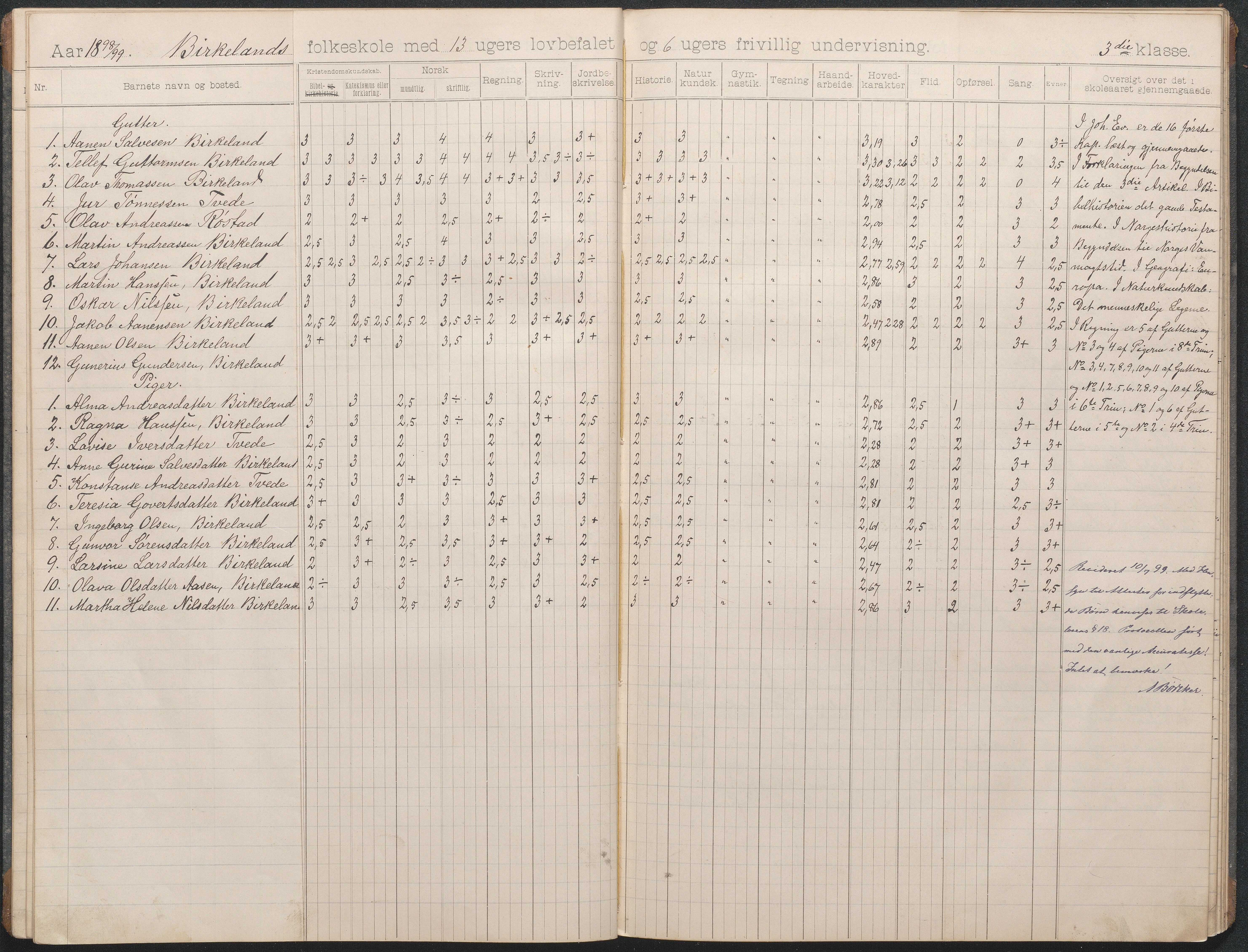 Birkenes kommune, Birkenes krets/Birkeland folkeskole frem til 1991, AAKS/KA0928-550a_91/F02/L0004: Skoleprotokoll, 1896-1907