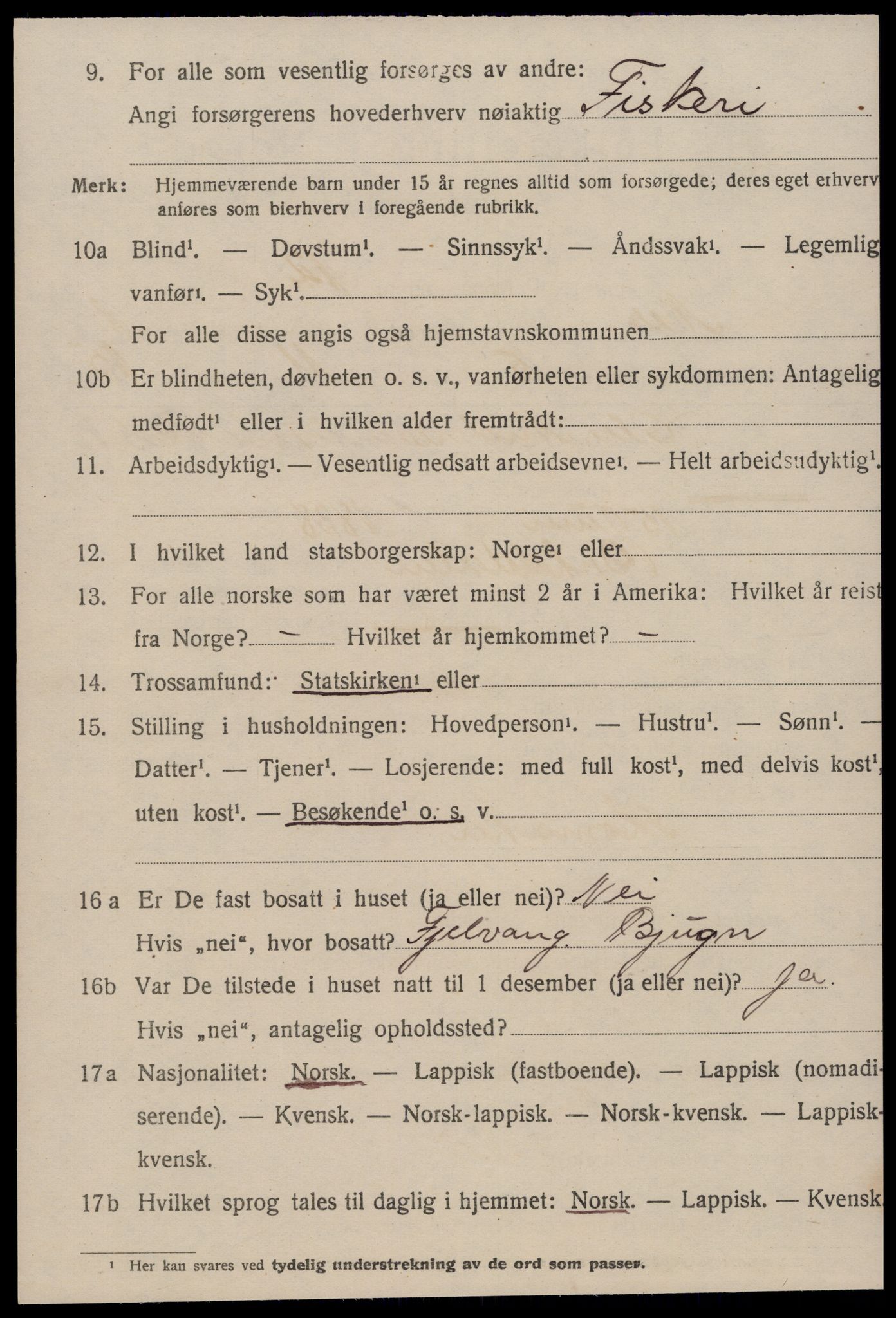 SAT, 1920 census for Nes (ST), 1920, p. 610