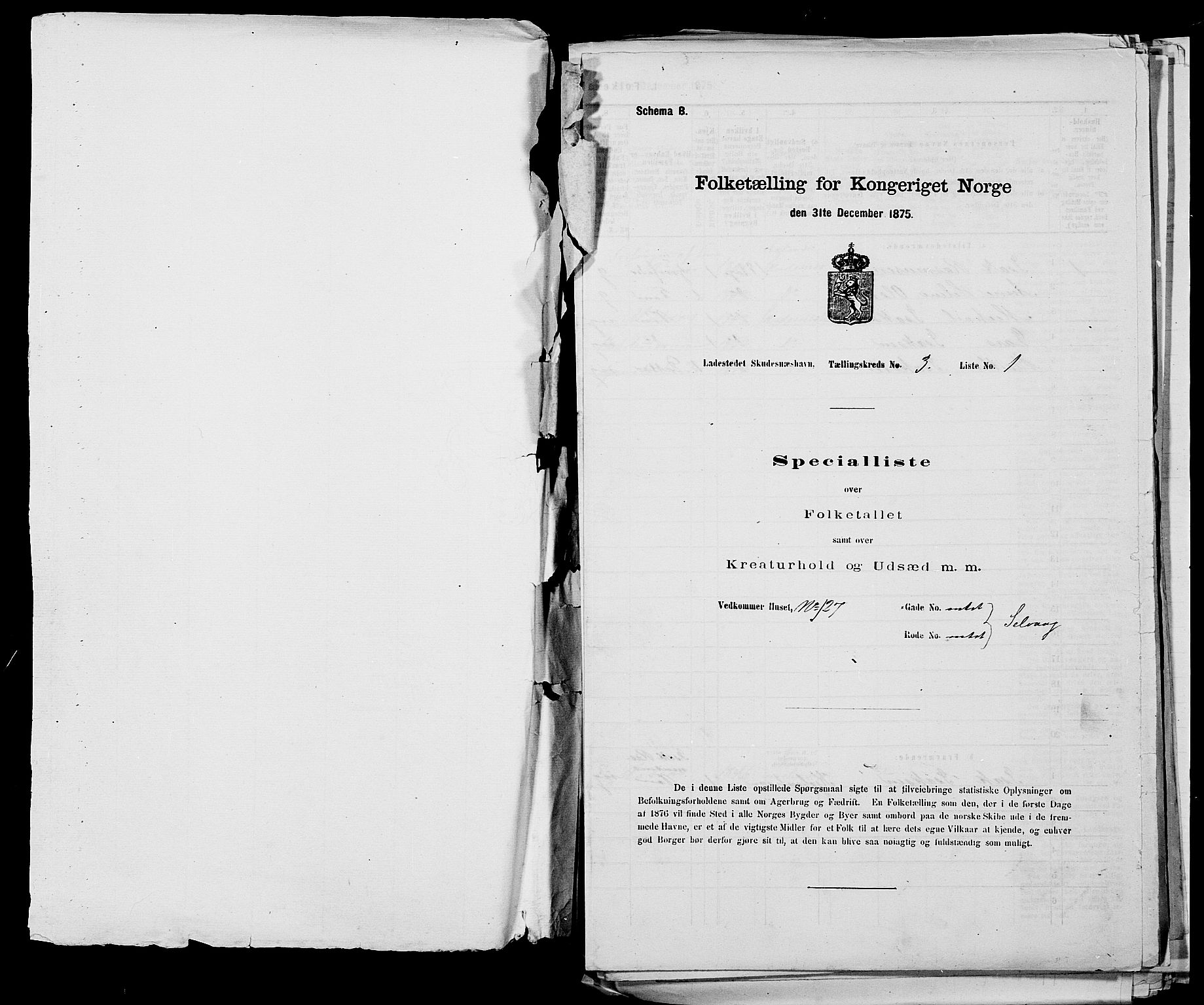 SAST, 1875 census for 1104B Skudenes/Skudeneshavn, 1875, p. 255