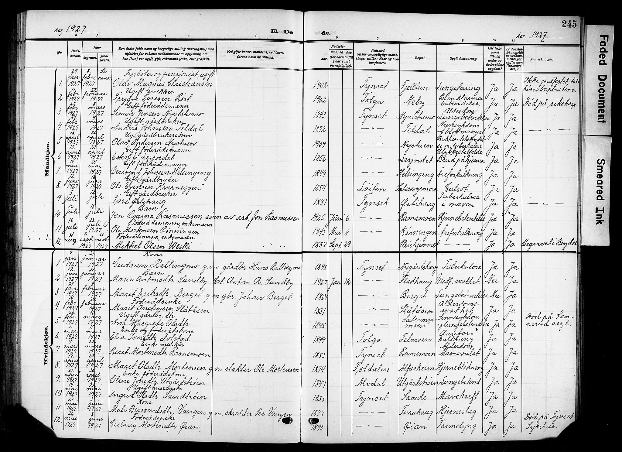 Tynset prestekontor, SAH/PREST-058/H/Ha/Hab/L0011: Parish register (copy) no. 11, 1915-1930, p. 245