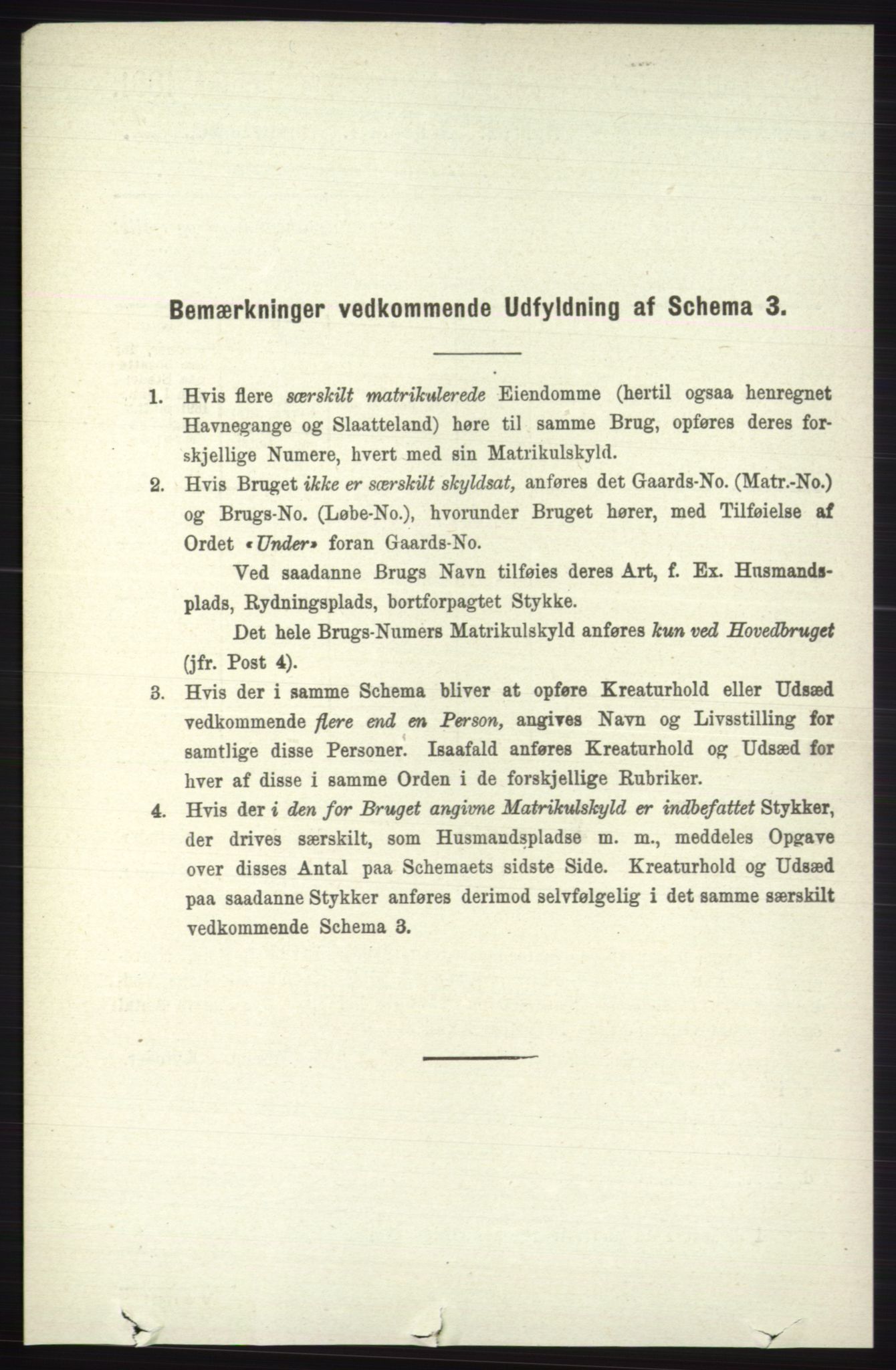 RA, 1891 census for 0544 Øystre Slidre, 1891, p. 1191