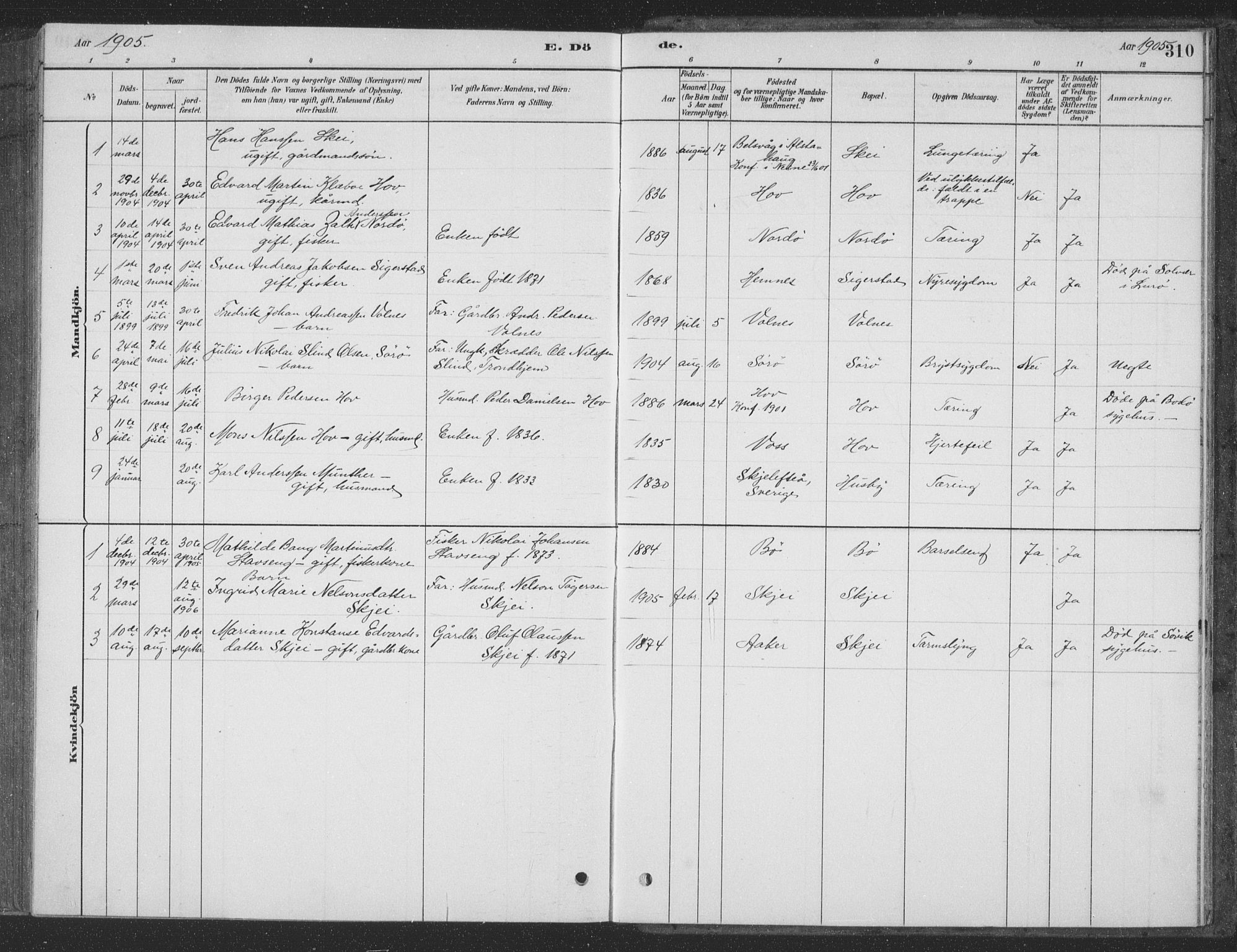 Ministerialprotokoller, klokkerbøker og fødselsregistre - Nordland, AV/SAT-A-1459/835/L0532: Parish register (copy) no. 835C04, 1880-1905, p. 310