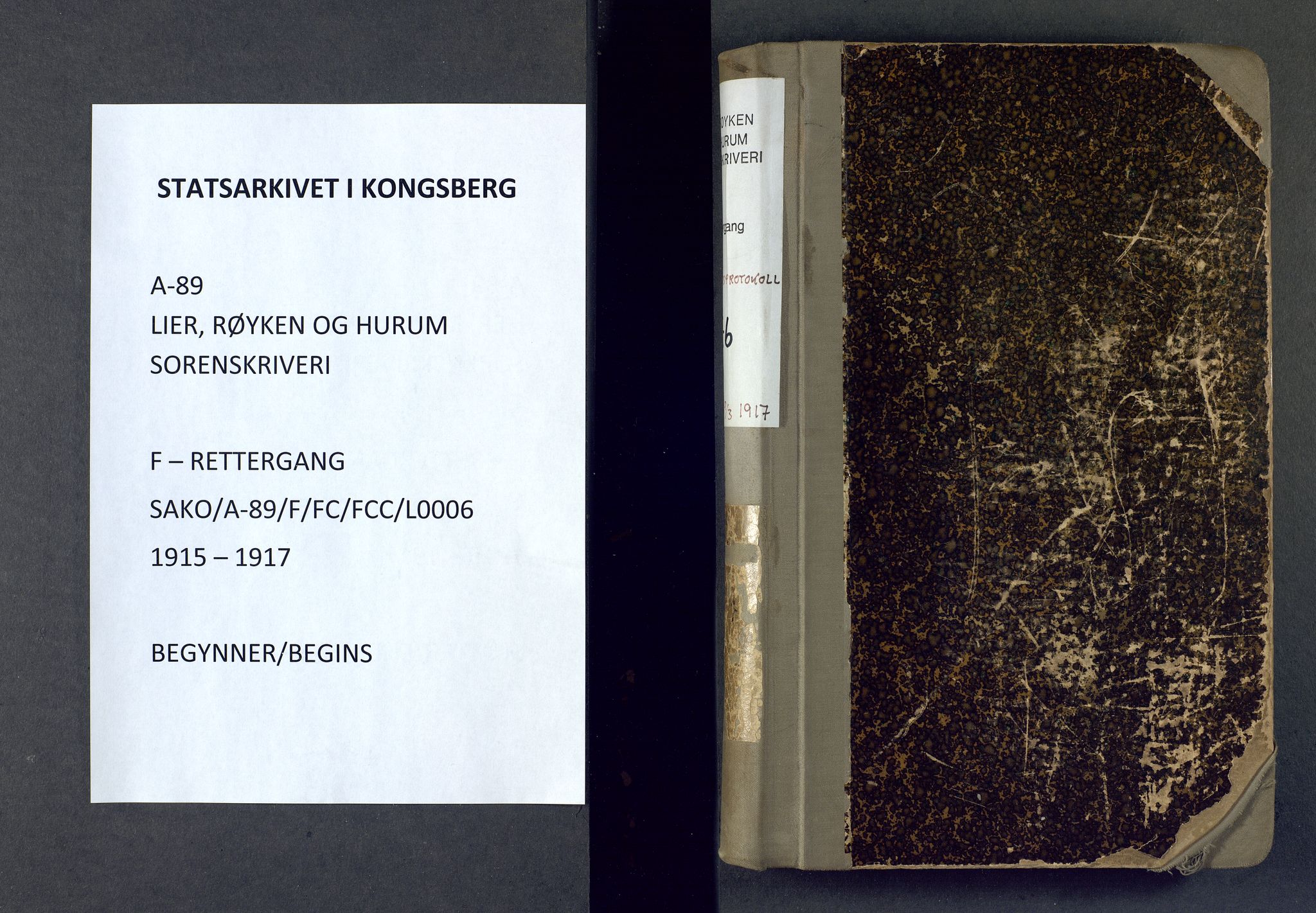 Lier, Røyken og Hurum sorenskriveri, SAKO/A-89/F/Fc/Fcc/L0006: Ekstrarettsprotokoll, 1915-1917