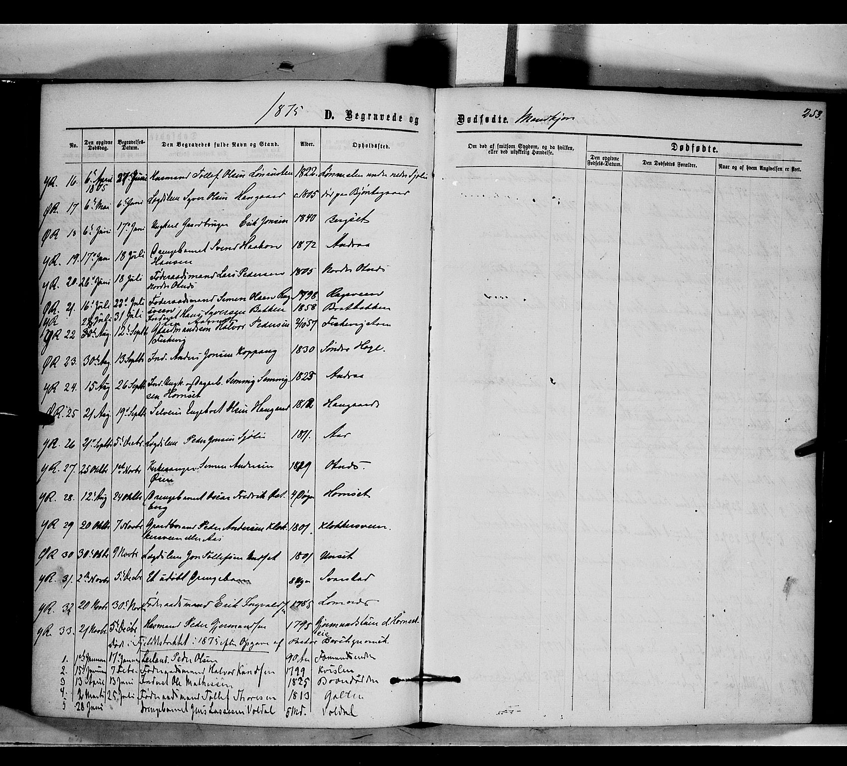 Rendalen prestekontor, AV/SAH-PREST-054/H/Ha/Haa/L0006: Parish register (official) no. 6, 1867-1877, p. 253