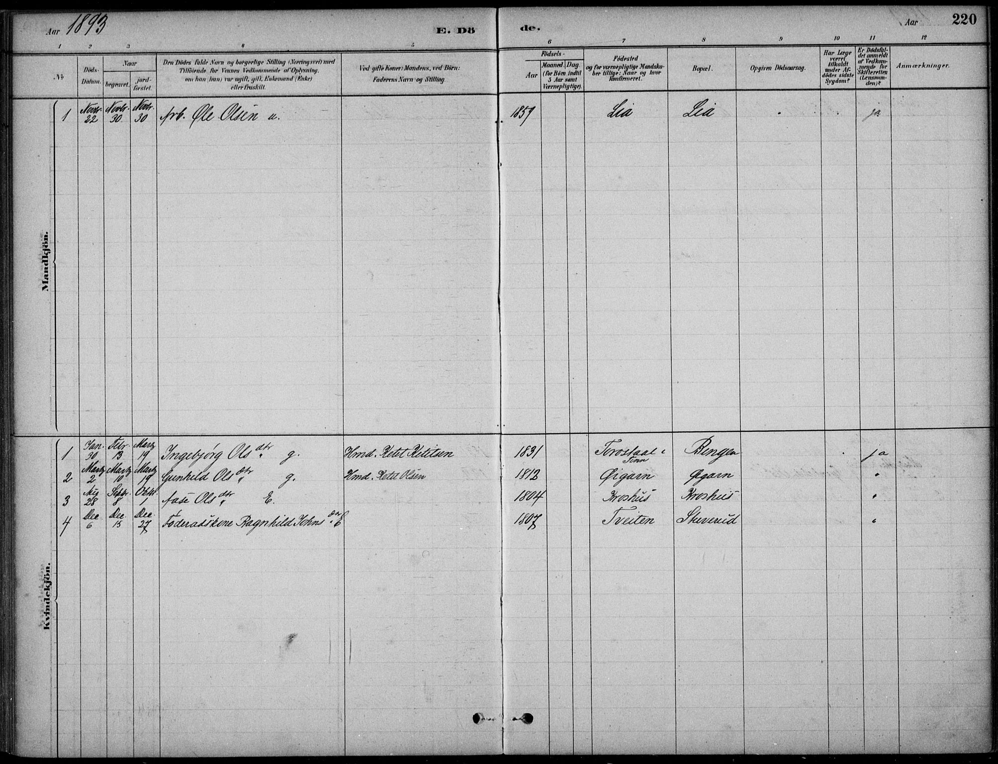Hjartdal kirkebøker, SAKO/A-270/F/Fc/L0002: Parish register (official) no. III 2, 1880-1936, p. 220