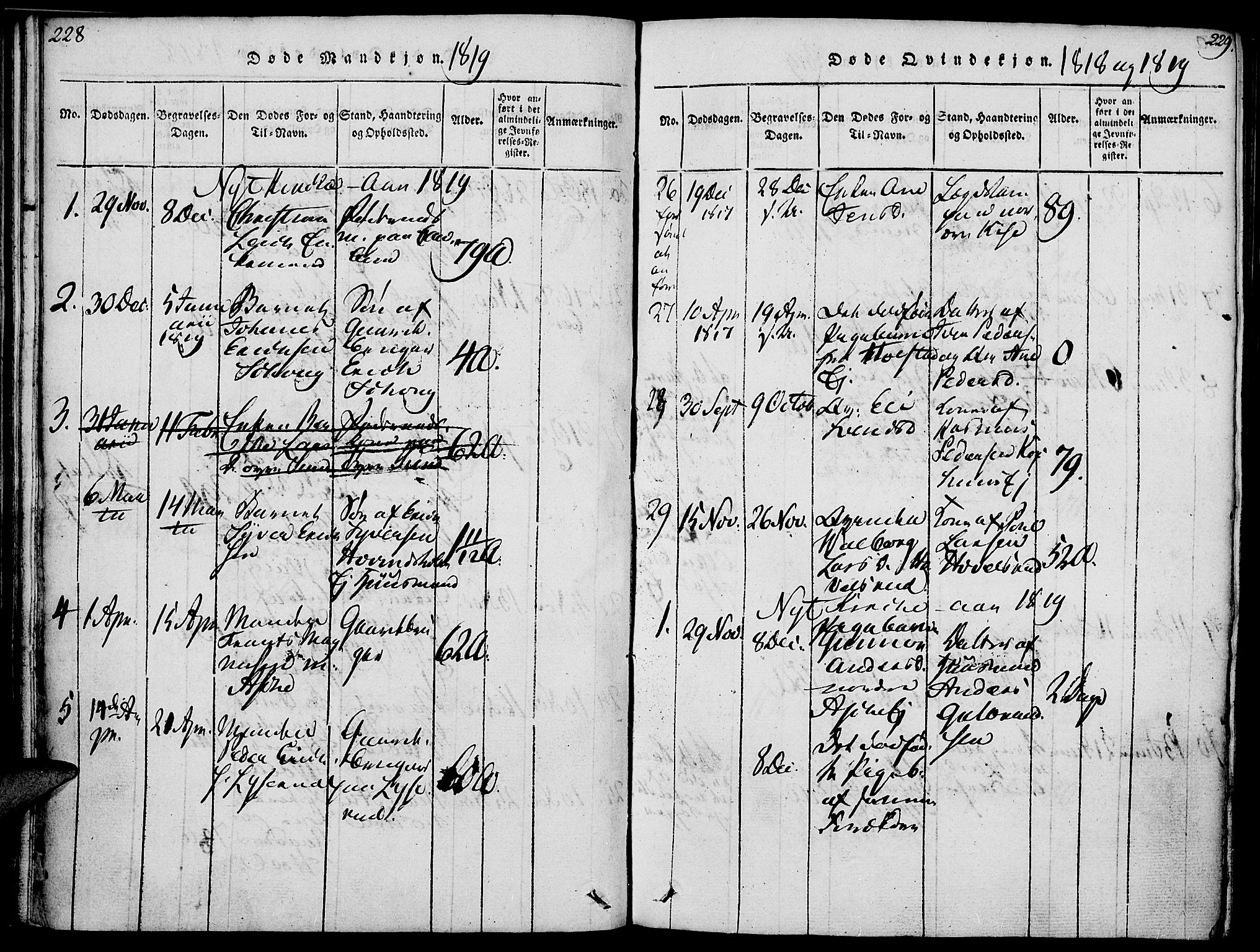 Nes prestekontor, Hedmark, SAH/PREST-020/K/Ka/L0002: Parish register (official) no. 2, 1813-1827, p. 228-229