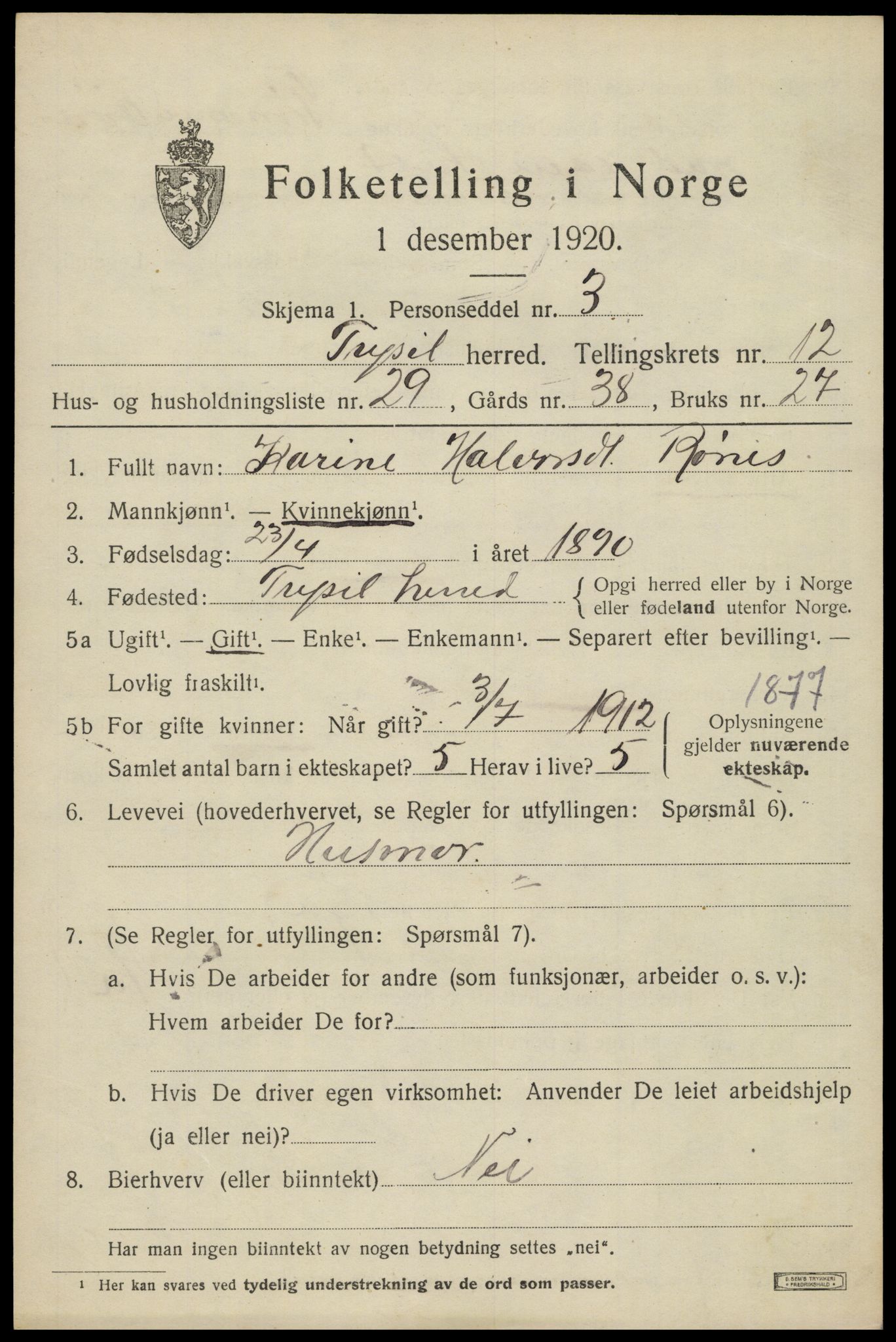 SAH, 1920 census for Trysil, 1920, p. 7521