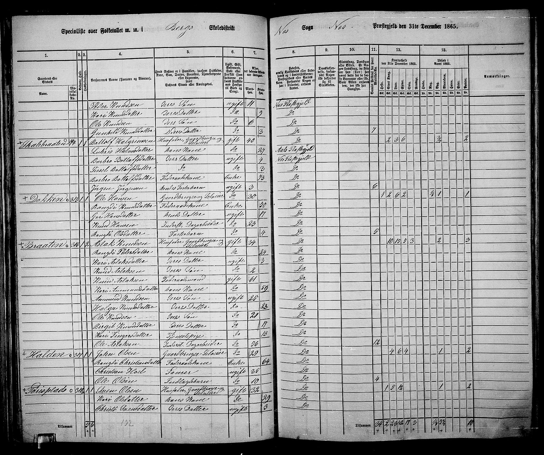 RA, 1865 census for Nes, 1865, p. 95