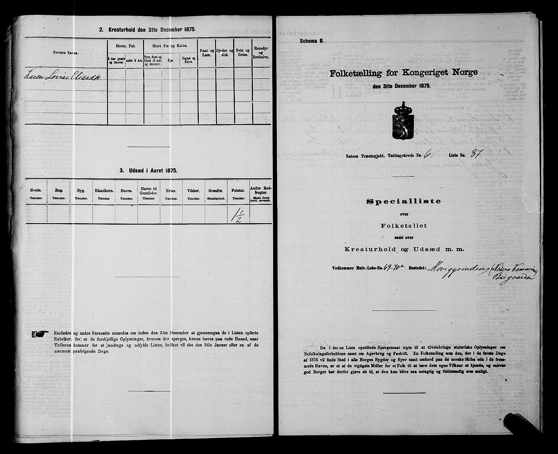 SAKO, 1875 census for 0722P Nøtterøy, 1875, p. 1329