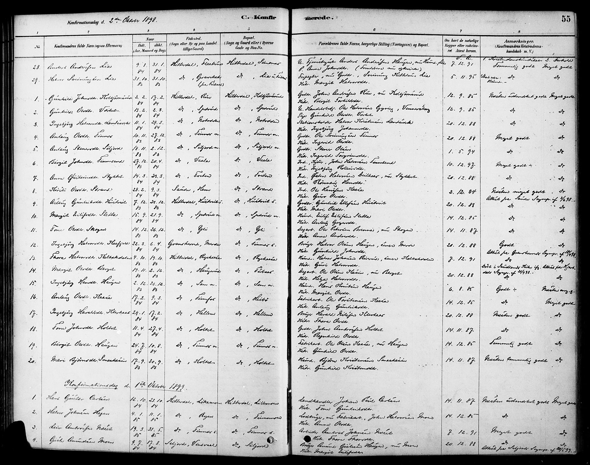 Heddal kirkebøker, SAKO/A-268/F/Fa/L0009: Parish register (official) no. I 9, 1878-1903, p. 55