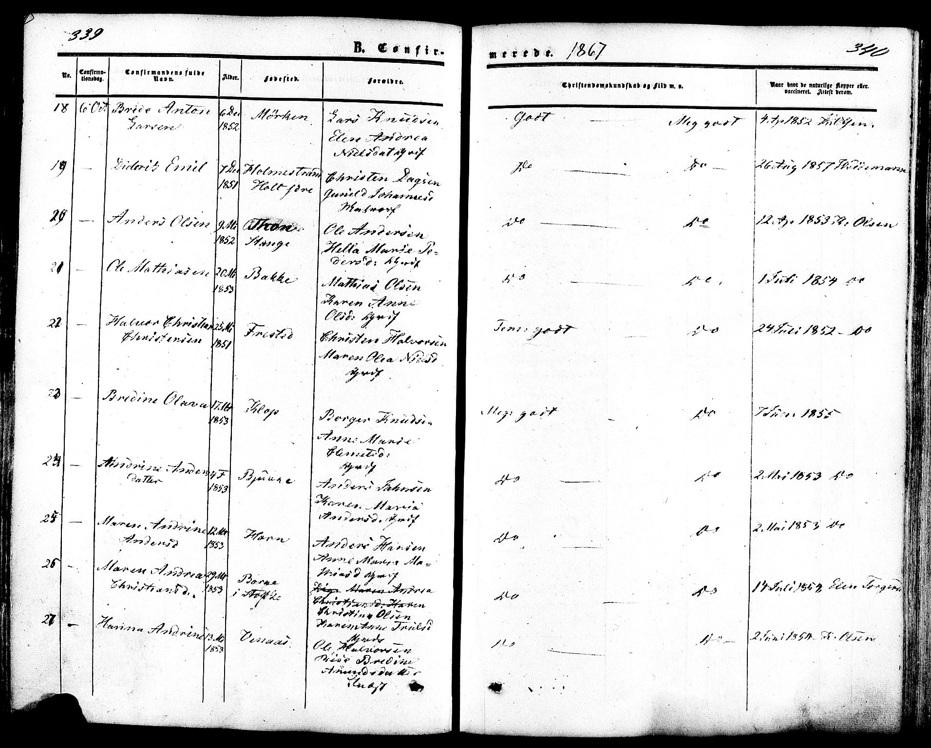 Ramnes kirkebøker, AV/SAKO-A-314/F/Fa/L0006: Parish register (official) no. I 6, 1862-1877, p. 339-340