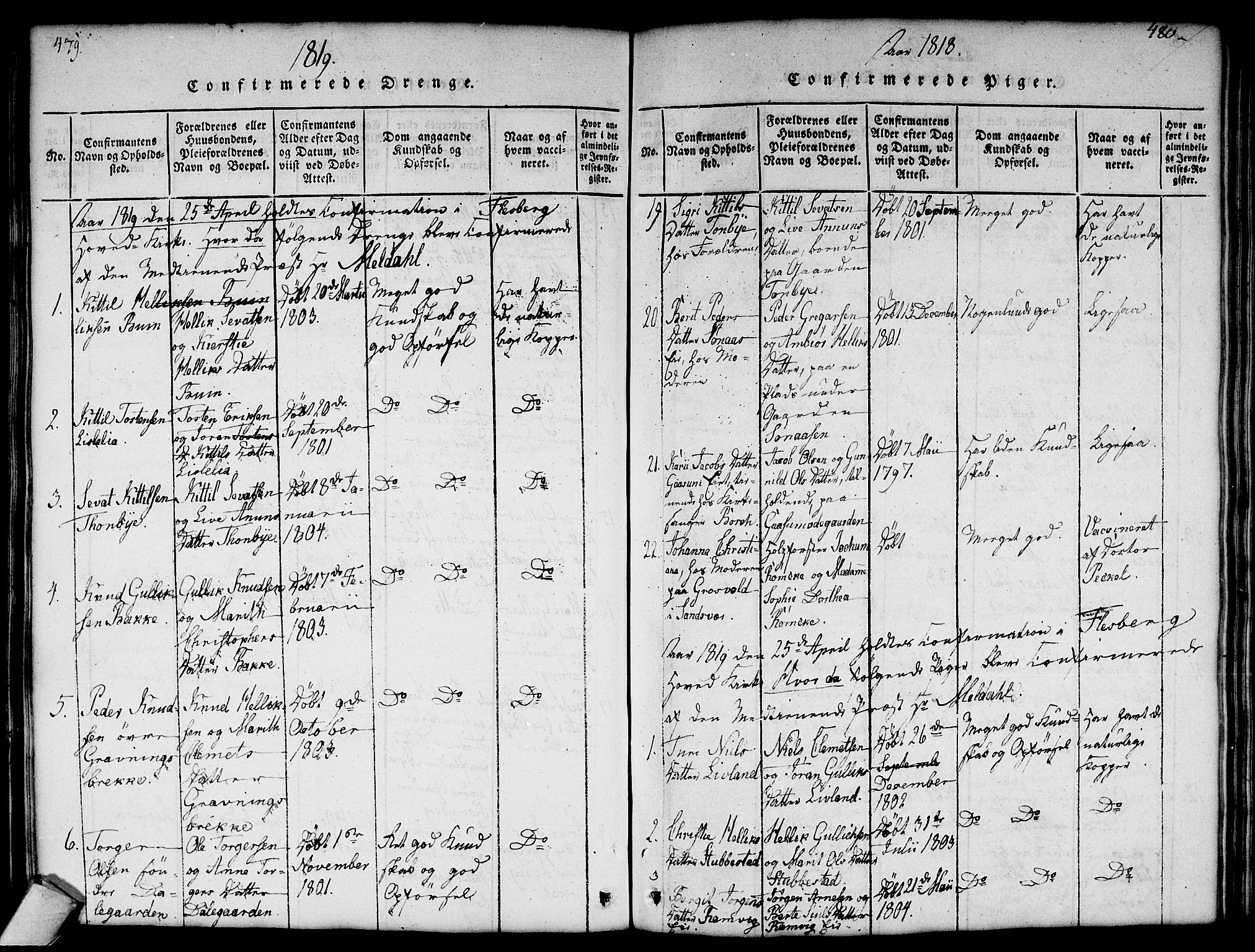 Flesberg kirkebøker, SAKO/A-18/G/Ga/L0001: Parish register (copy) no. I 1, 1816-1834, p. 479-480