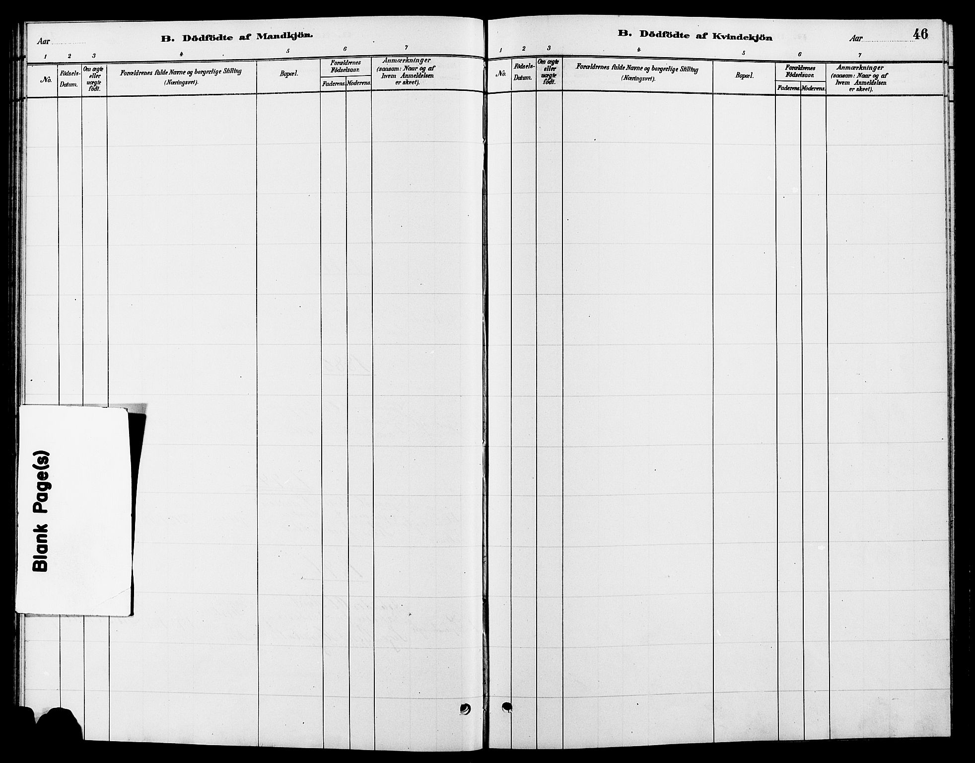 Tynset prestekontor, AV/SAH-PREST-058/H/Ha/Hab/L0007: Parish register (copy) no. 7, 1880-1901, p. 46