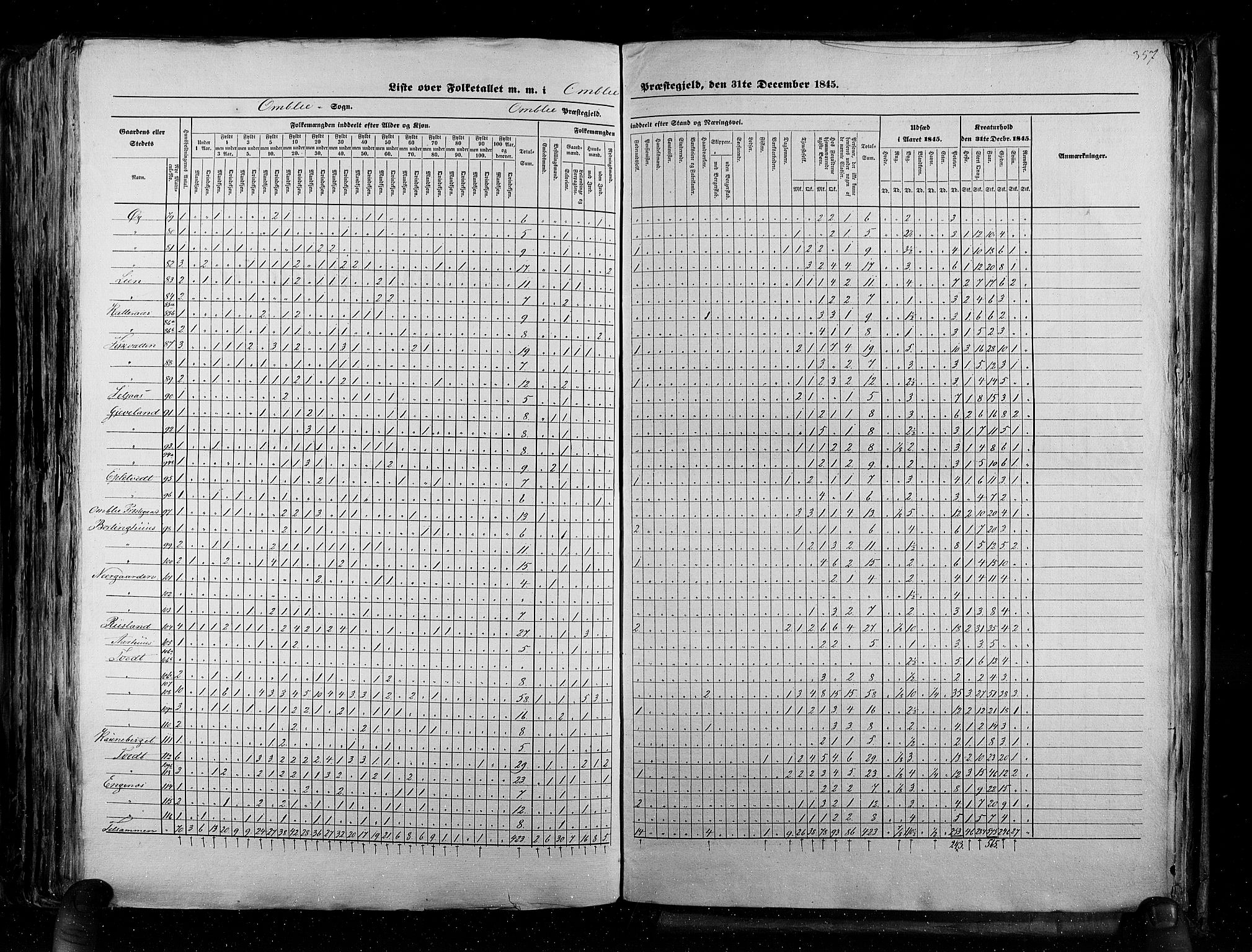 RA, Census 1845, vol. 5: Bratsberg amt og Nedenes og Råbyggelaget amt, 1845, p. 357