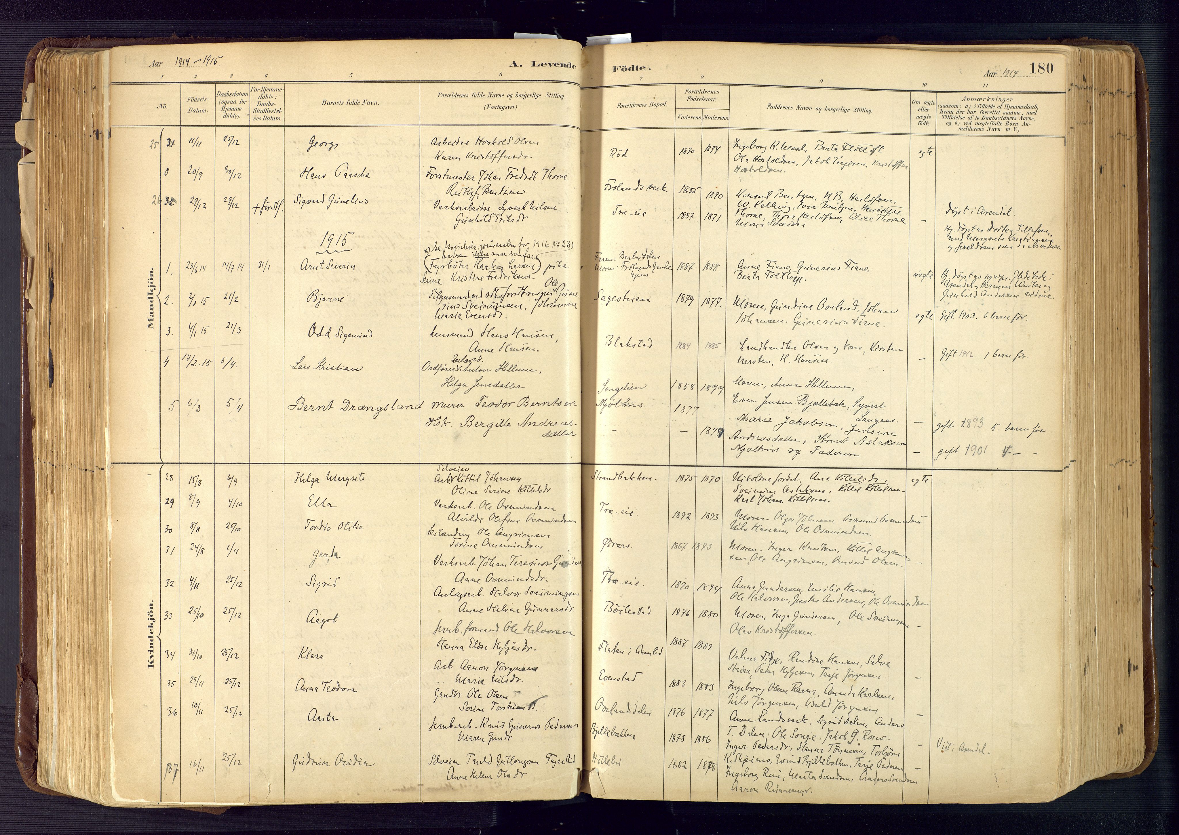 Froland sokneprestkontor, SAK/1111-0013/F/Fa/L0005: Parish register (official) no. A 5, 1882-1921, p. 180