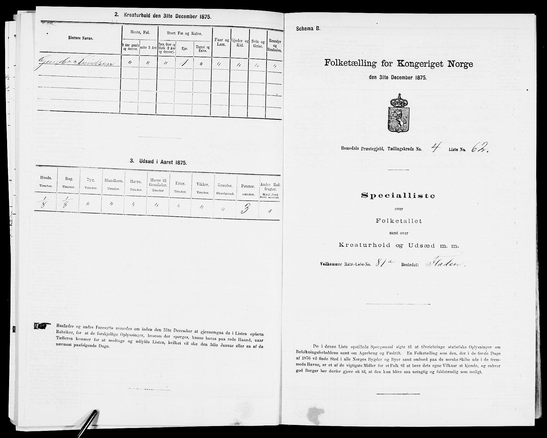 SAK, 1875 census for 0924P Homedal, 1875, p. 925