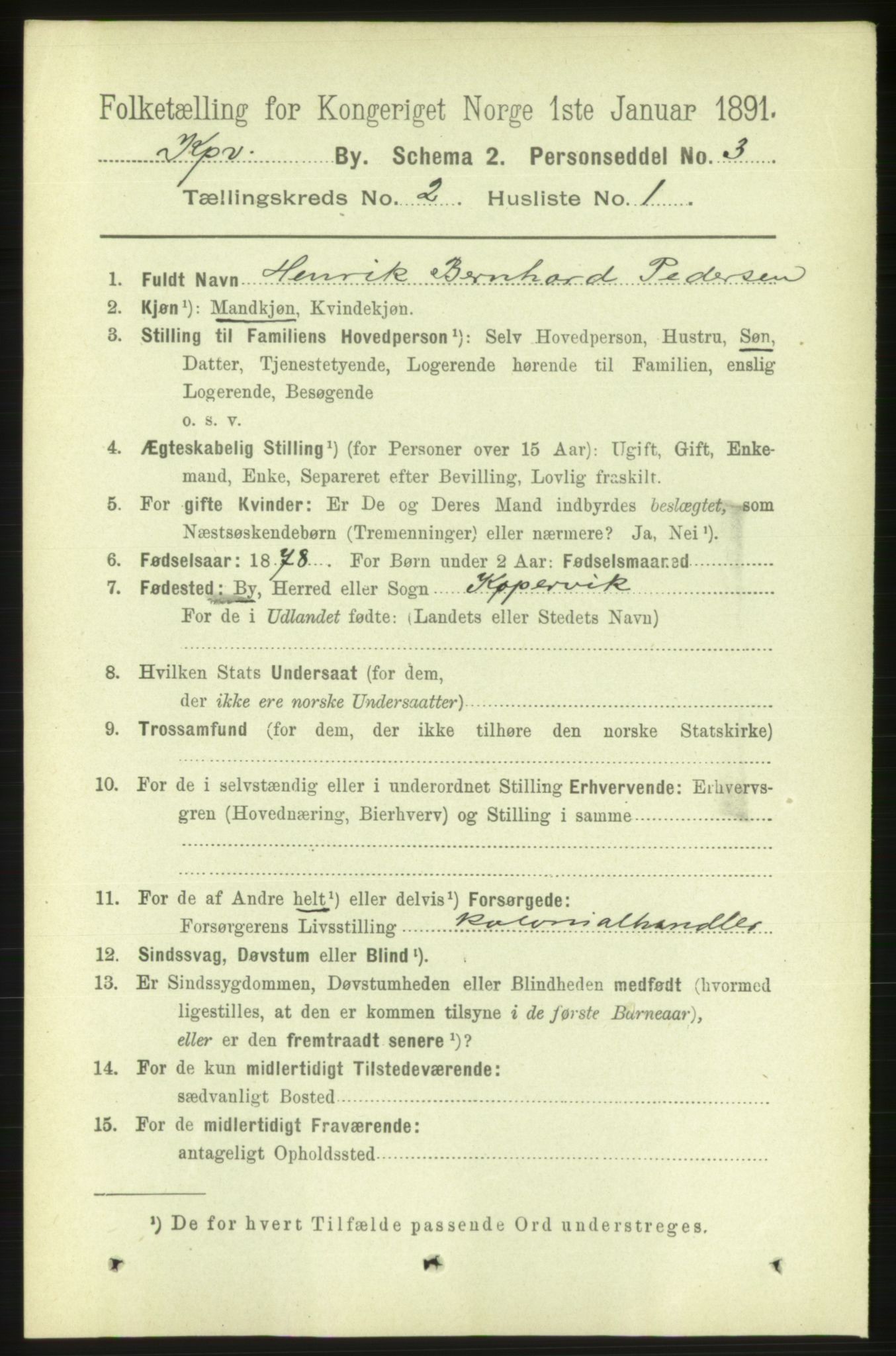 RA, 1891 census for 1105 Kopervik, 1891, p. 118