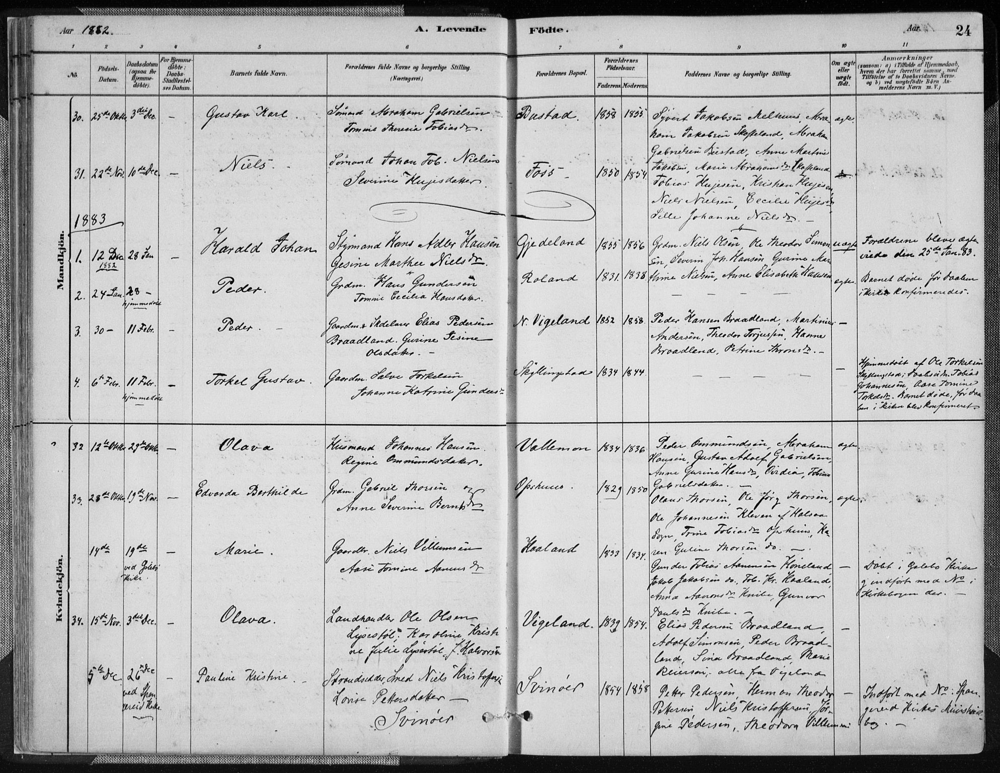 Sør-Audnedal sokneprestkontor, AV/SAK-1111-0039/F/Fa/Fab/L0009: Parish register (official) no. A 9, 1880-1895, p. 24