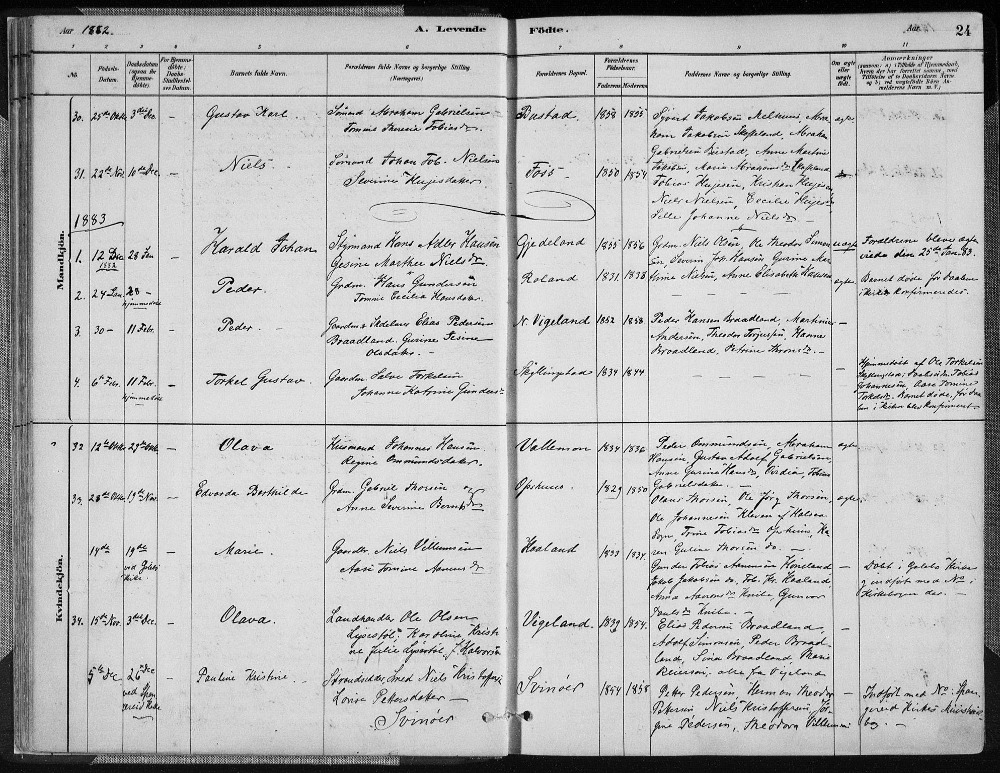 Sør-Audnedal sokneprestkontor, SAK/1111-0039/F/Fa/Fab/L0009: Parish register (official) no. A 9, 1880-1895, p. 24