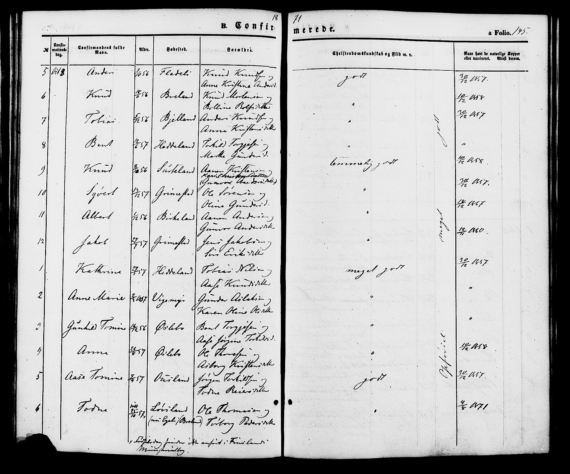 Holum sokneprestkontor, SAK/1111-0022/F/Fa/Fac/L0003: Parish register (official) no. A 3, 1860-1883, p. 145