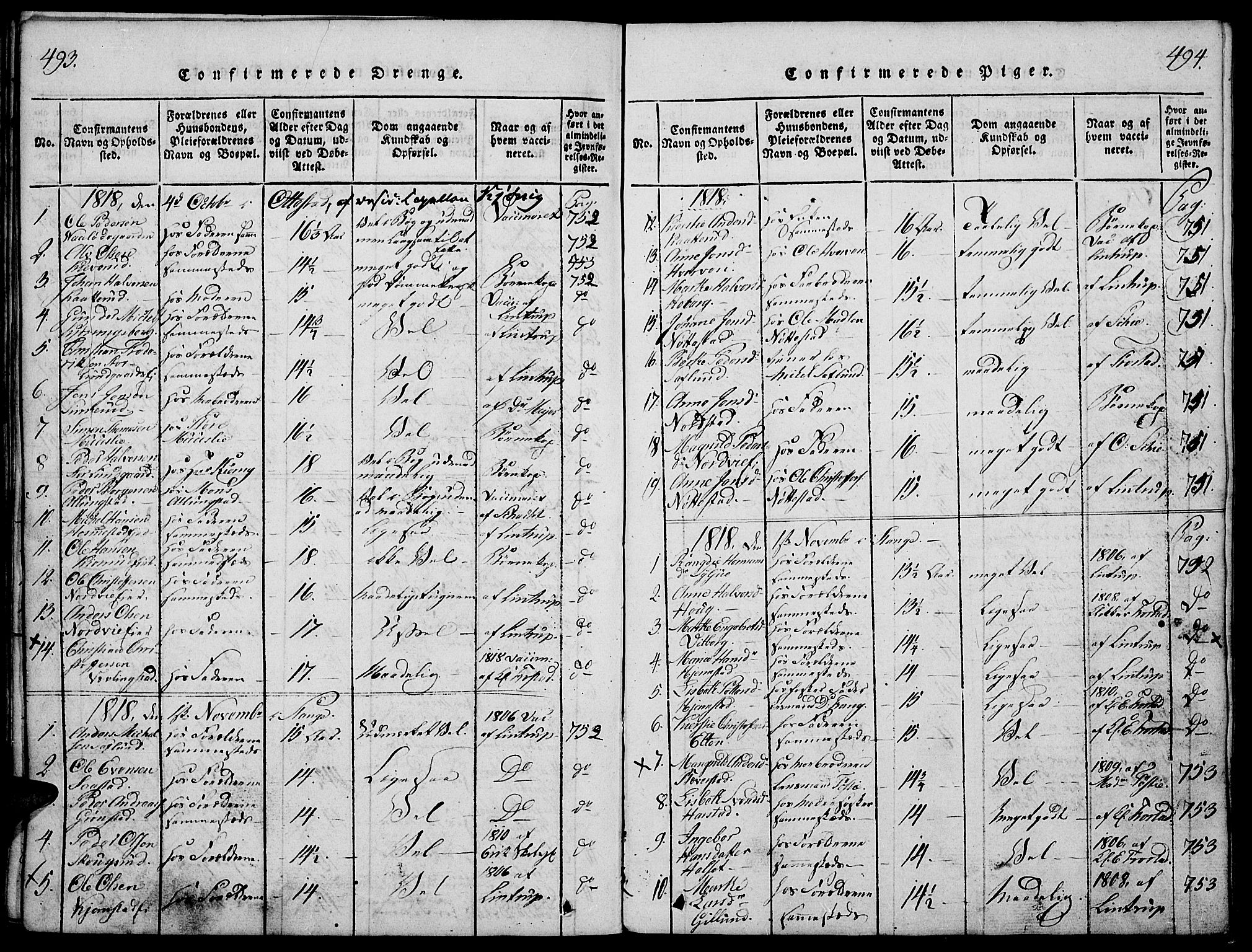 Stange prestekontor, AV/SAH-PREST-002/K/L0008: Parish register (official) no. 8, 1814-1825, p. 493-494