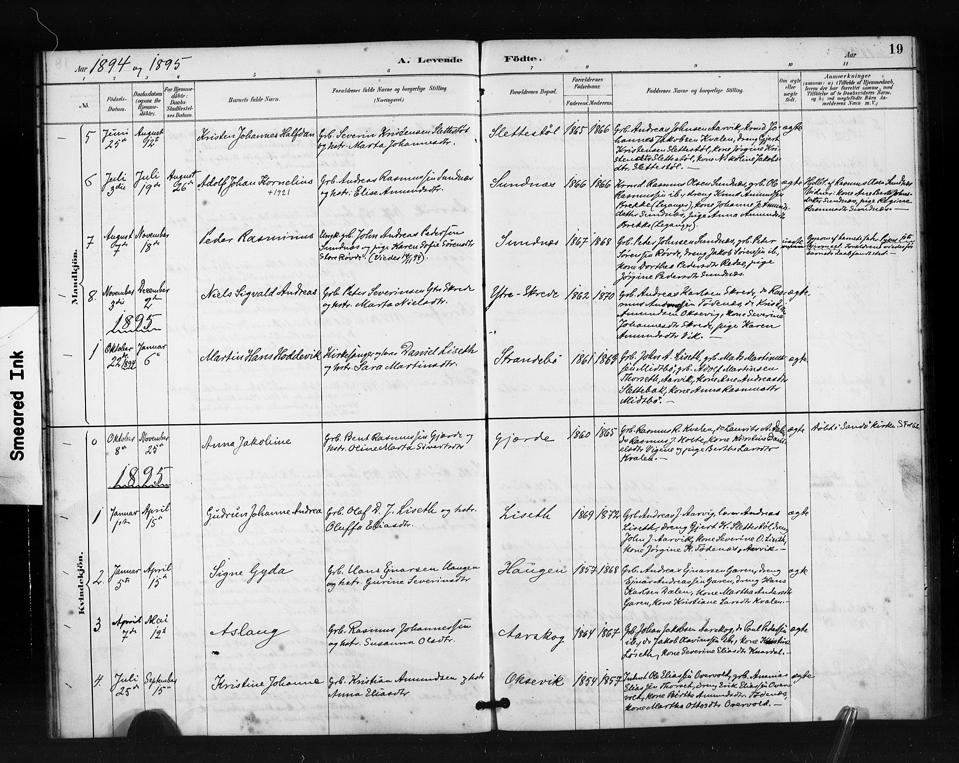 Ministerialprotokoller, klokkerbøker og fødselsregistre - Møre og Romsdal, AV/SAT-A-1454/504/L0056: Parish register (official) no. 504A03, 1884-1904, p. 19