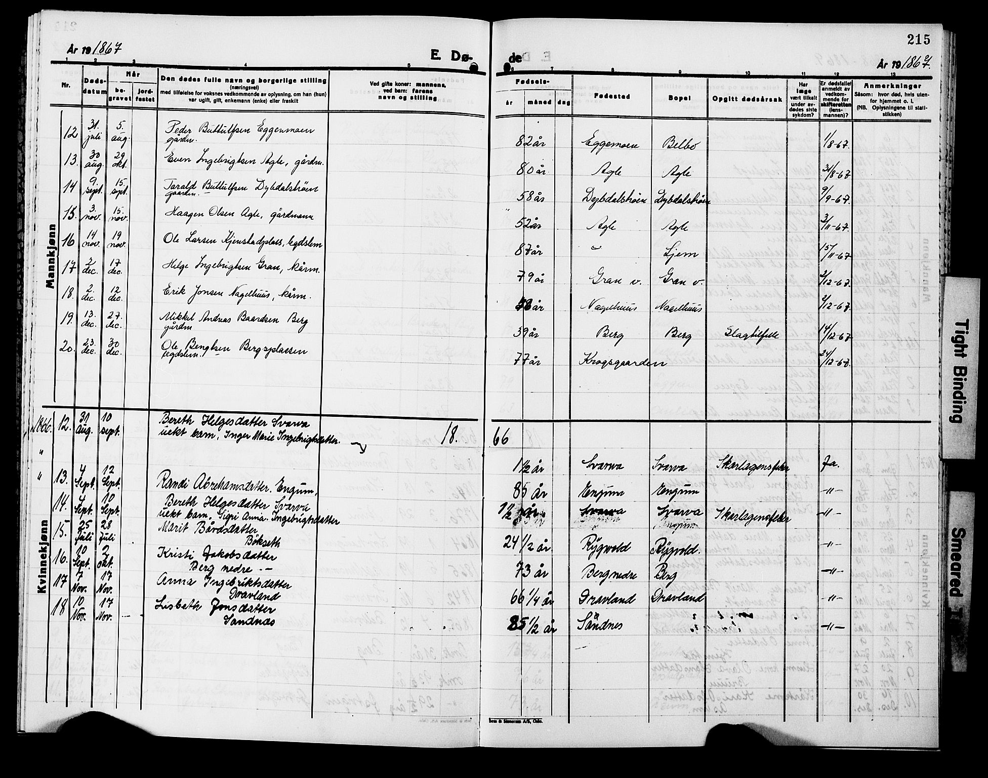 Ministerialprotokoller, klokkerbøker og fødselsregistre - Nord-Trøndelag, AV/SAT-A-1458/749/L0485: Parish register (official) no. 749D01, 1857-1872, p. 215