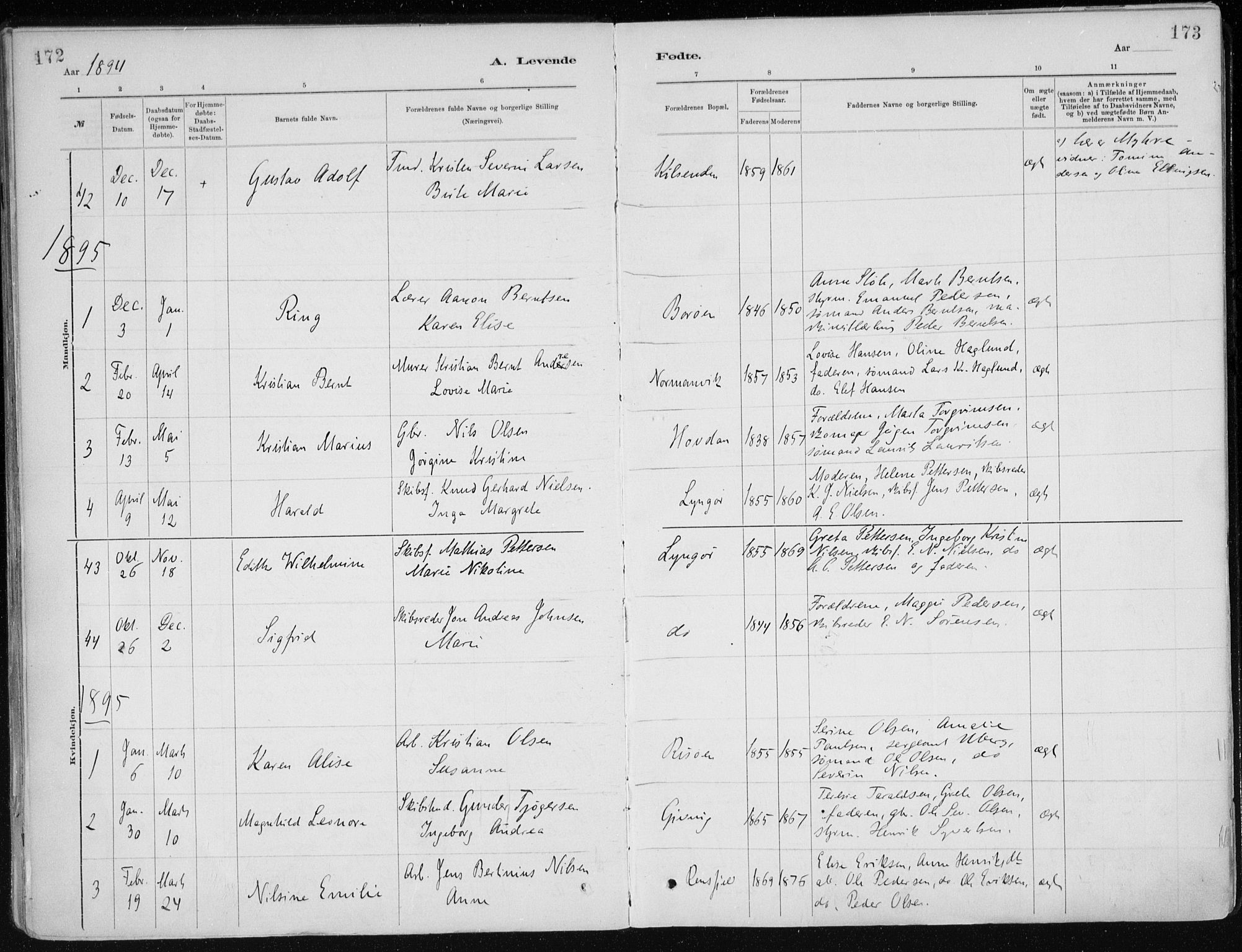 Dypvåg sokneprestkontor, SAK/1111-0007/F/Fa/Faa/L0008: Parish register (official) no. A 8, 1885-1906, p. 172-173