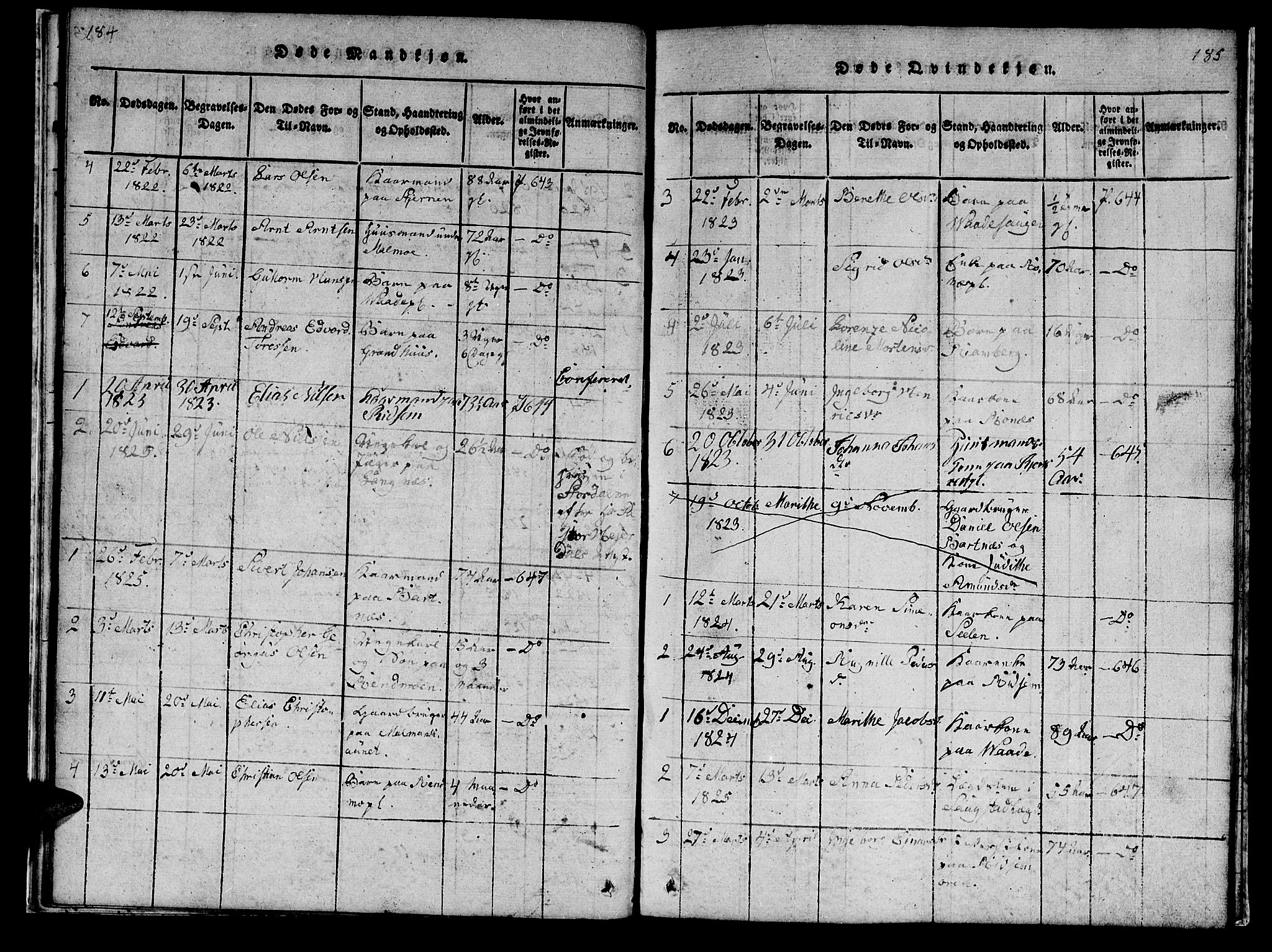 Ministerialprotokoller, klokkerbøker og fødselsregistre - Nord-Trøndelag, SAT/A-1458/745/L0433: Parish register (copy) no. 745C02, 1817-1825, p. 184-185