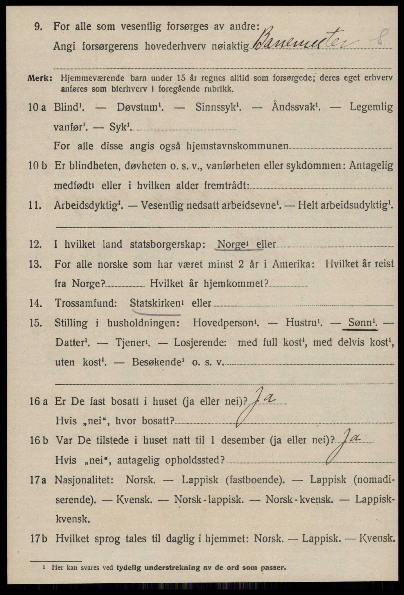 SAT, 1920 census for Røros, 1920, p. 6207