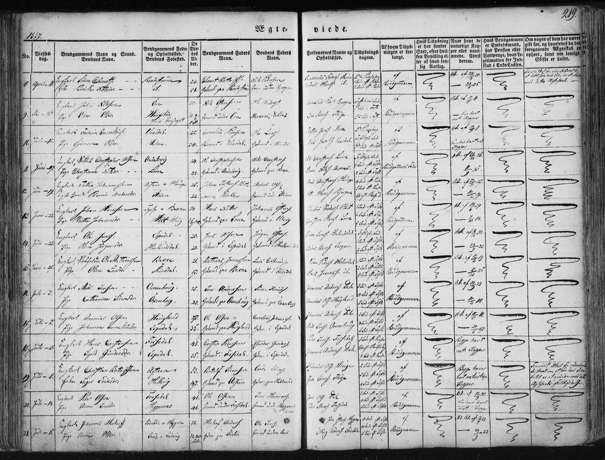 Fjaler sokneprestembete, SAB/A-79801/H/Haa/Haaa/L0006: Parish register (official) no. A 6, 1835-1884, p. 219