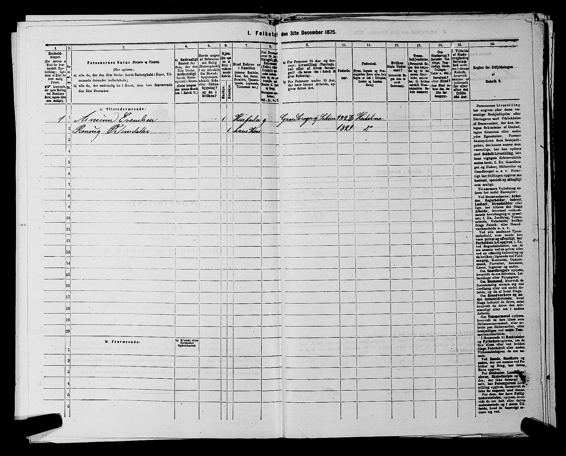 SAKO, 1875 census for 0833P Lårdal, 1875, p. 429