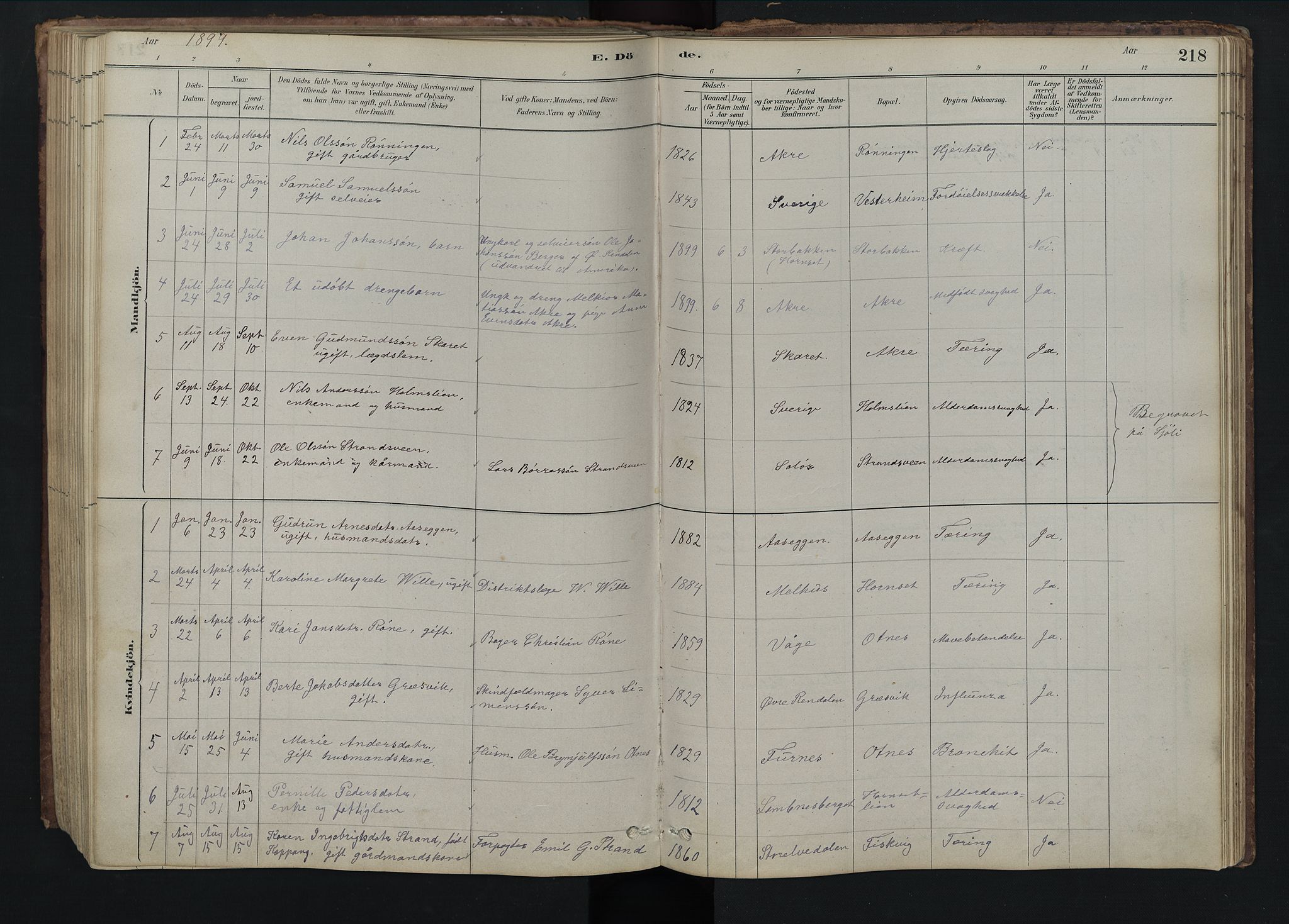Rendalen prestekontor, SAH/PREST-054/H/Ha/Hab/L0009: Parish register (copy) no. 9, 1879-1902, p. 218
