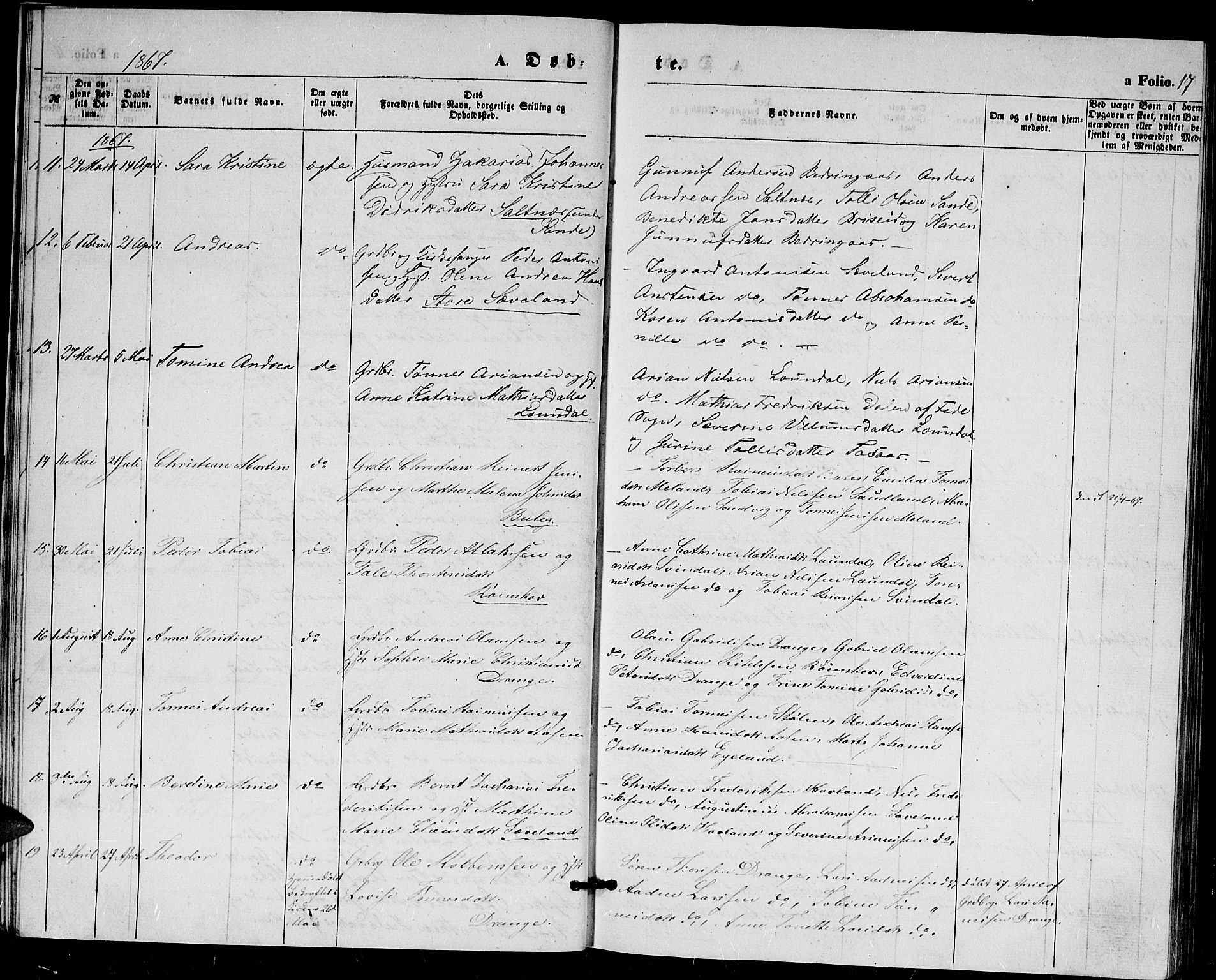 Herad sokneprestkontor, AV/SAK-1111-0018/F/Fb/Fba/L0003: Parish register (copy) no. B 3, 1863-1883, p. 17